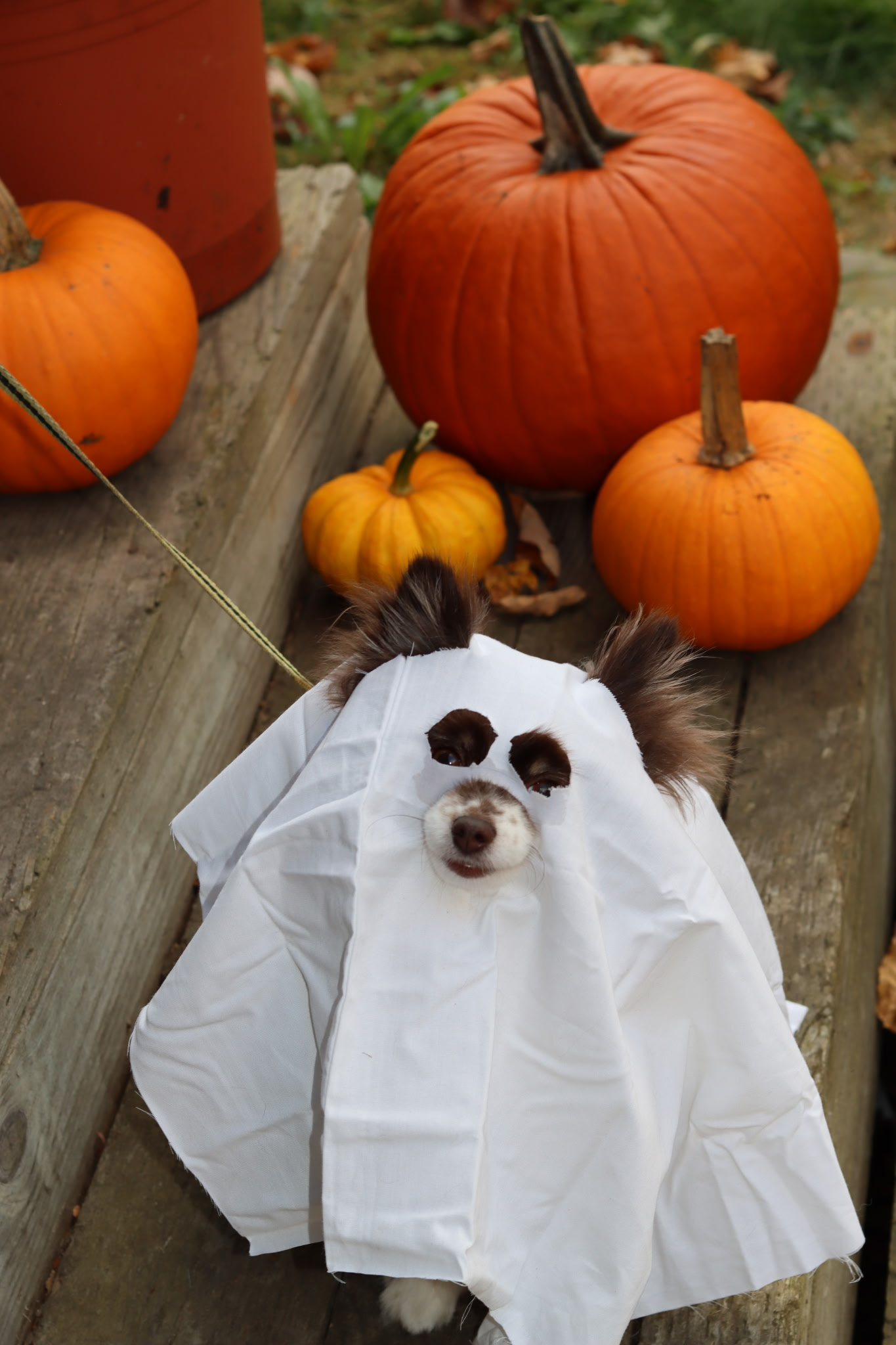 user avatar image for Amanda Muller