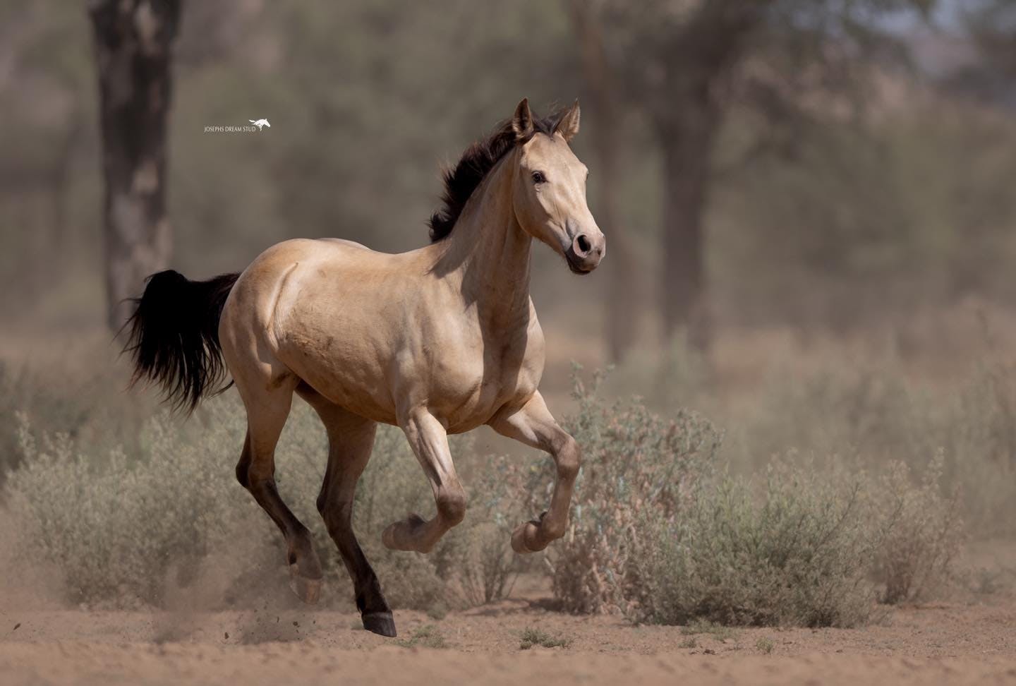 user avatar image for Natalie MUNFORD