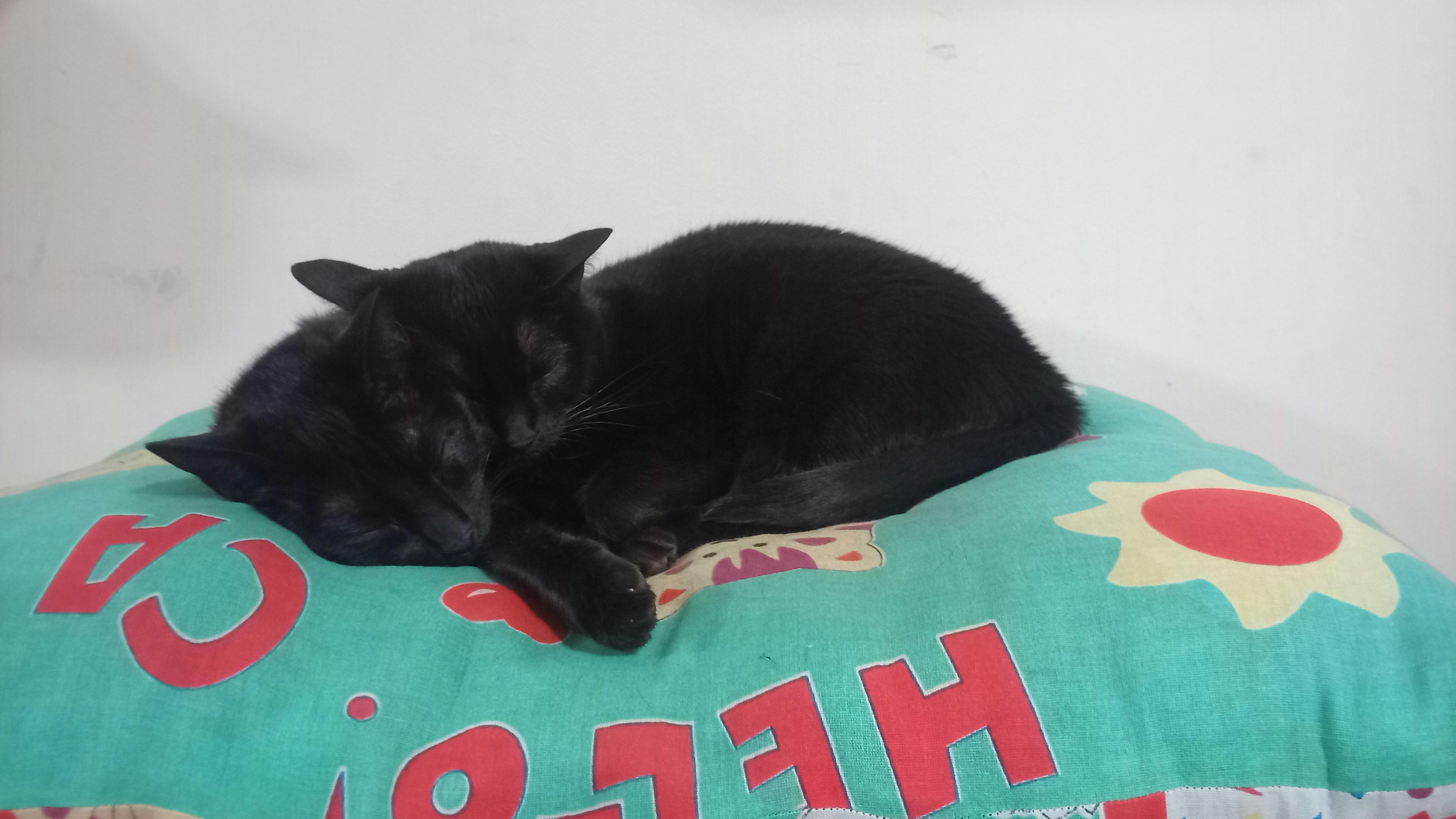 user avatar image for Andreia Bittencourt 