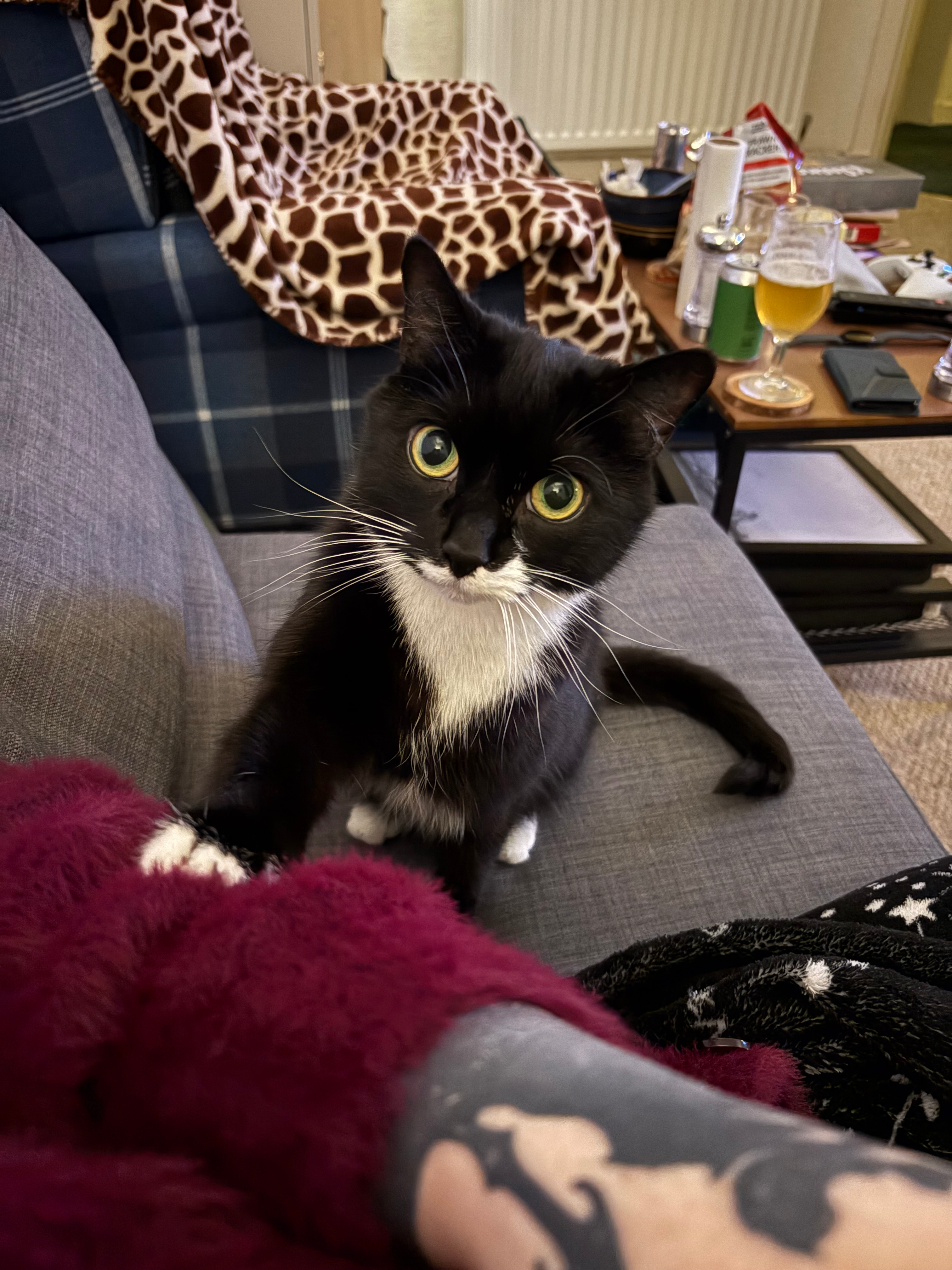 user avatar image for H