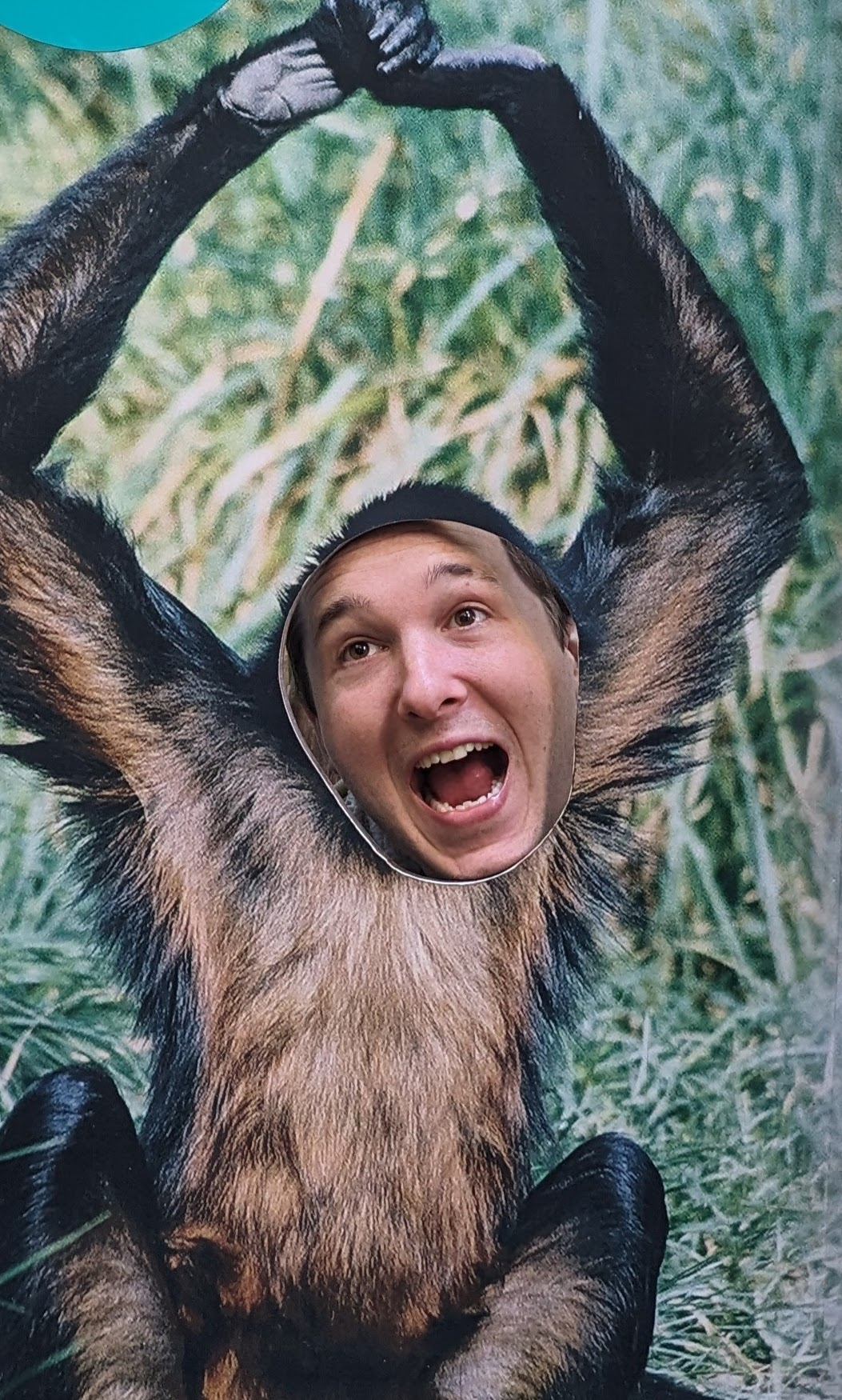 user avatar image for Tom