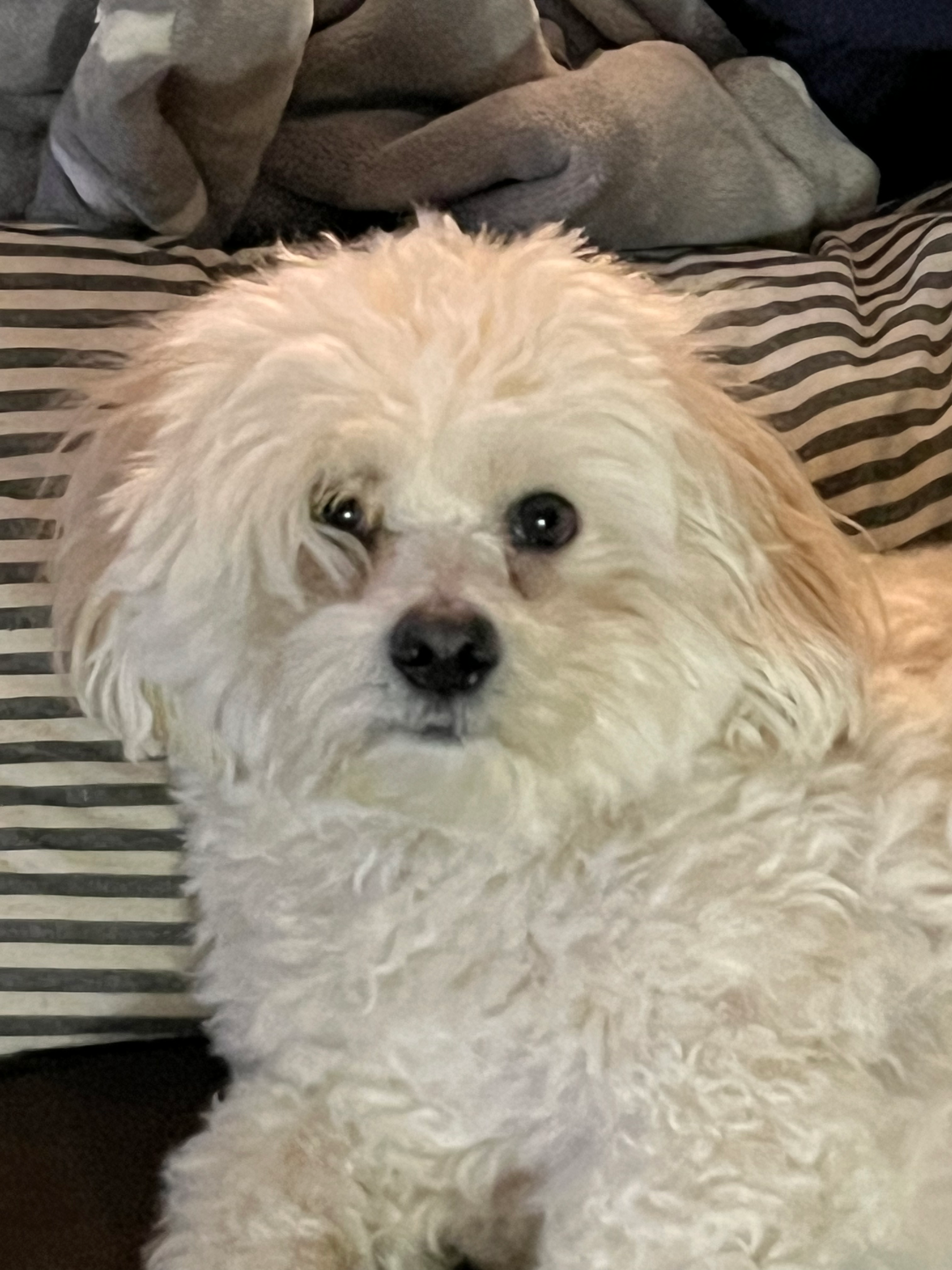 user avatar image for Geezby