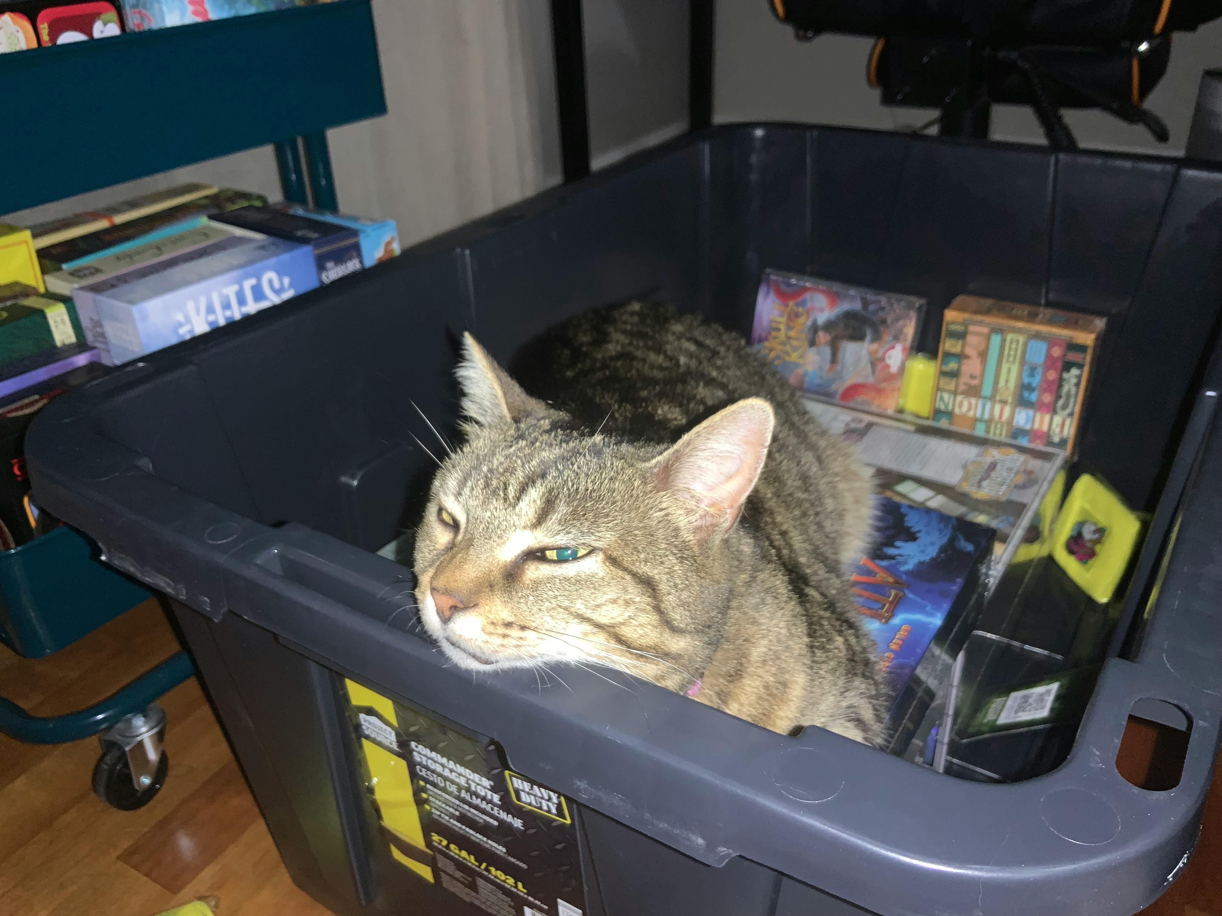 user avatar image for KRege