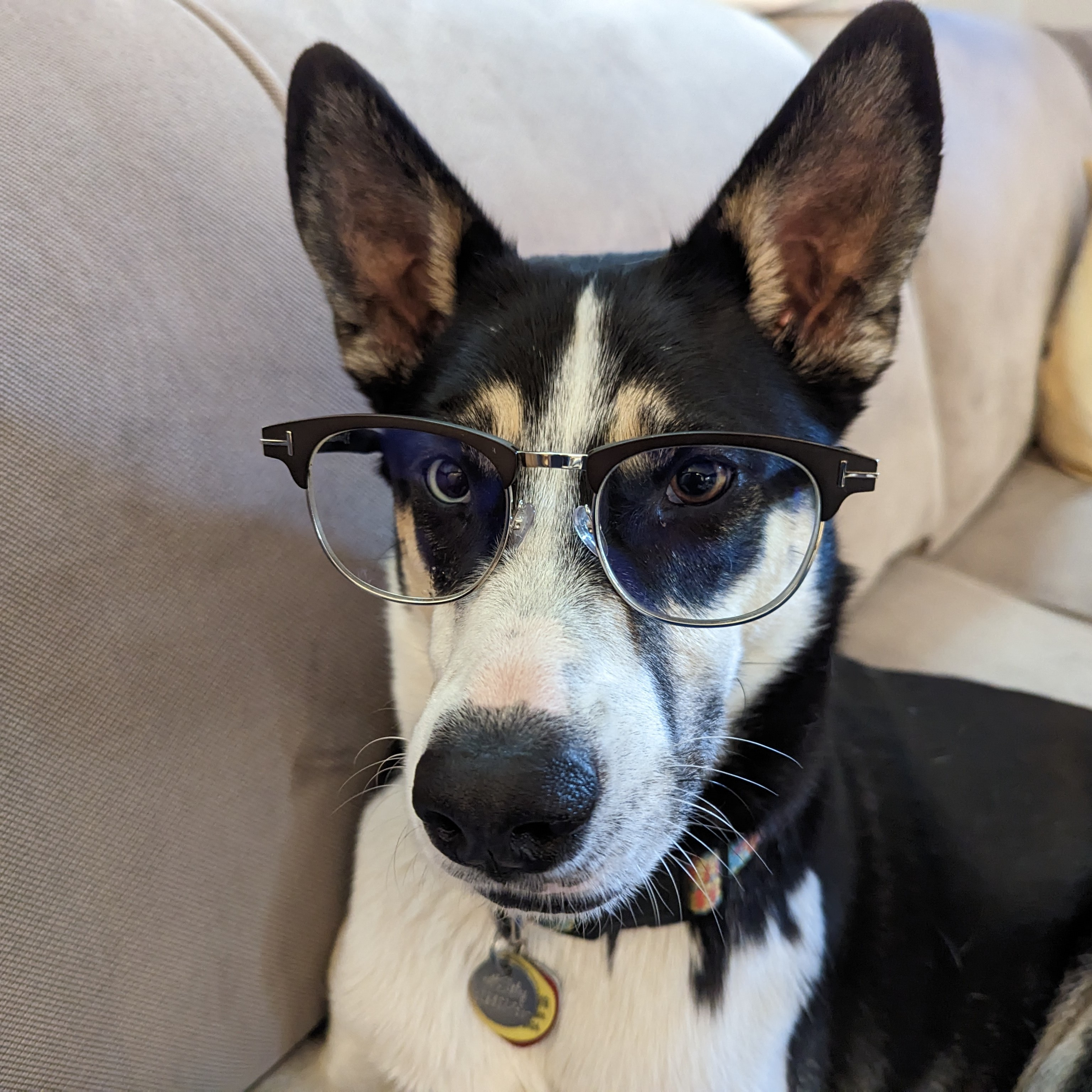 user avatar image for olengarn