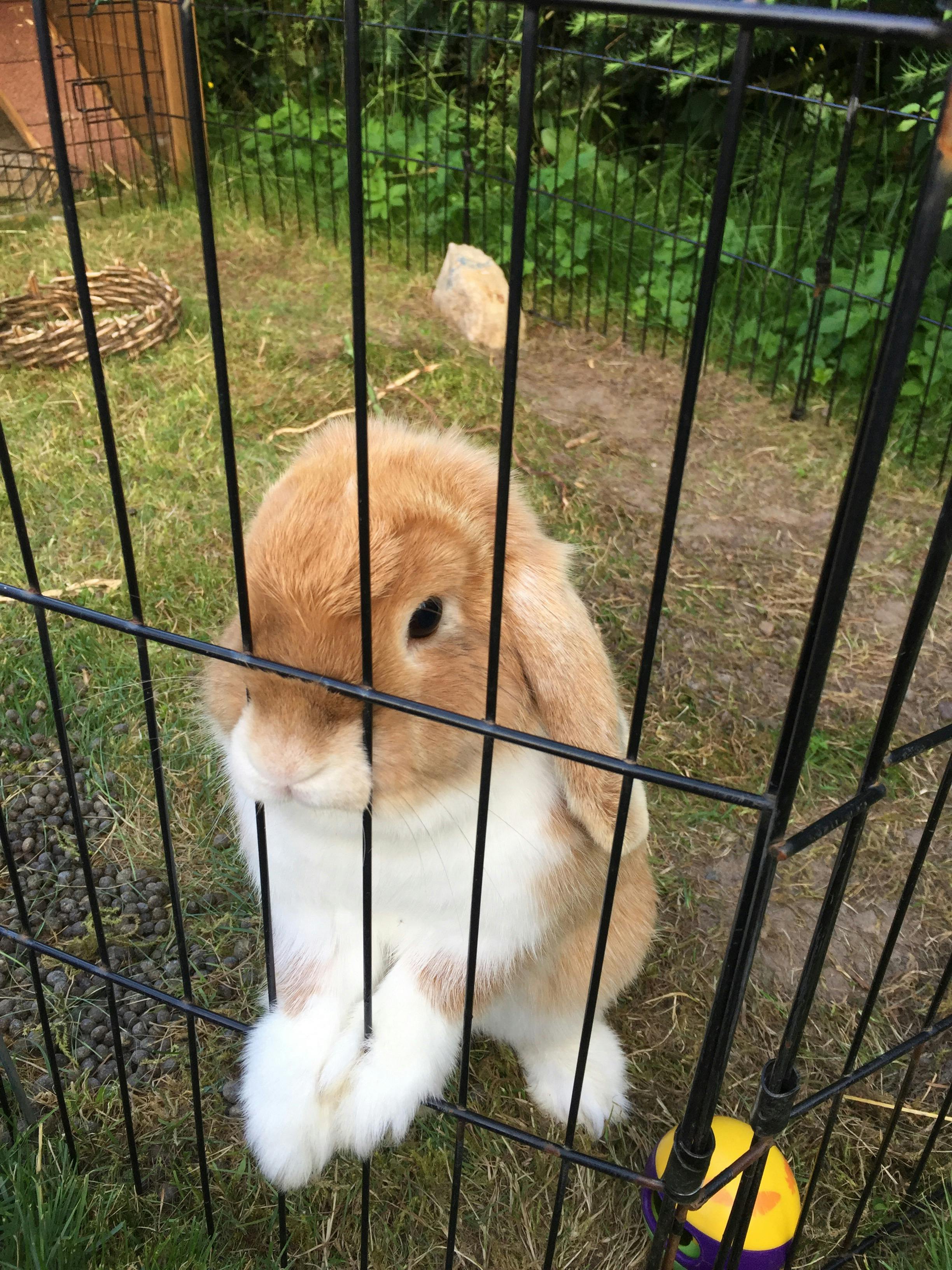 user avatar image for Aya