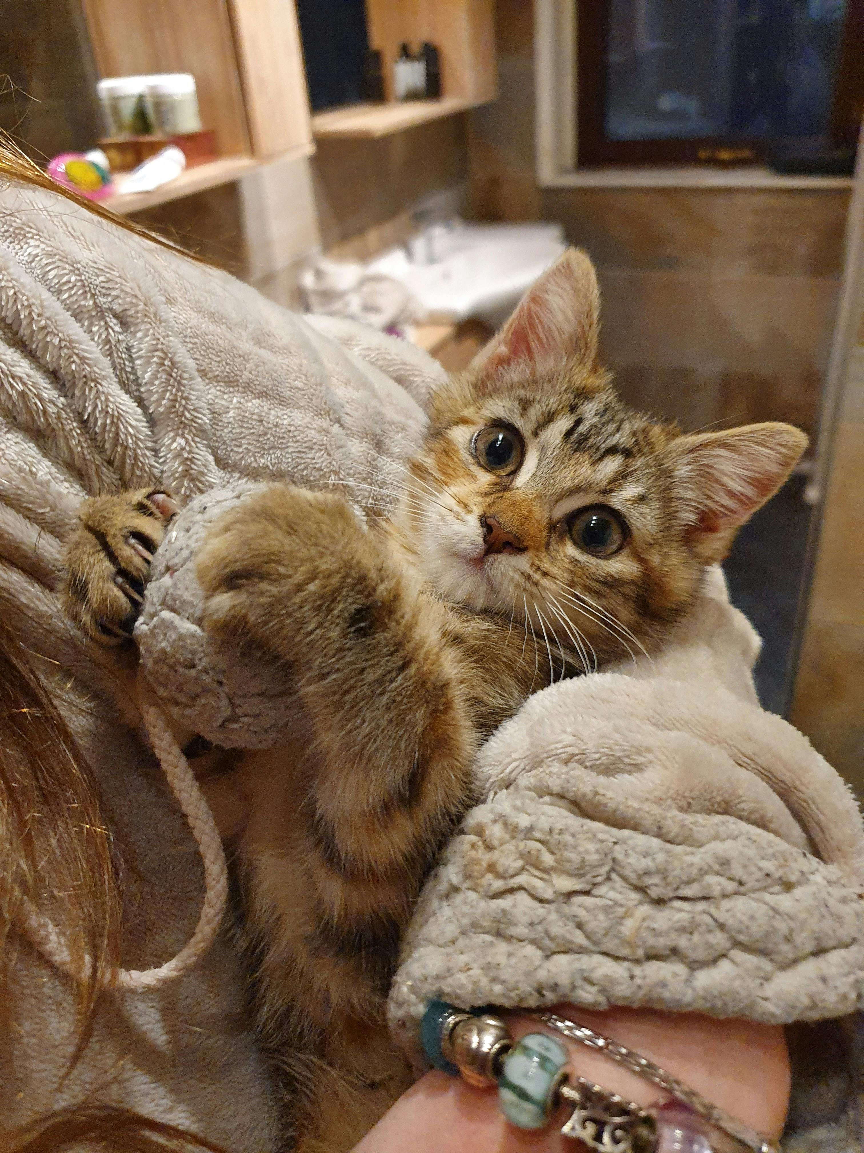 user avatar image for michael john mead