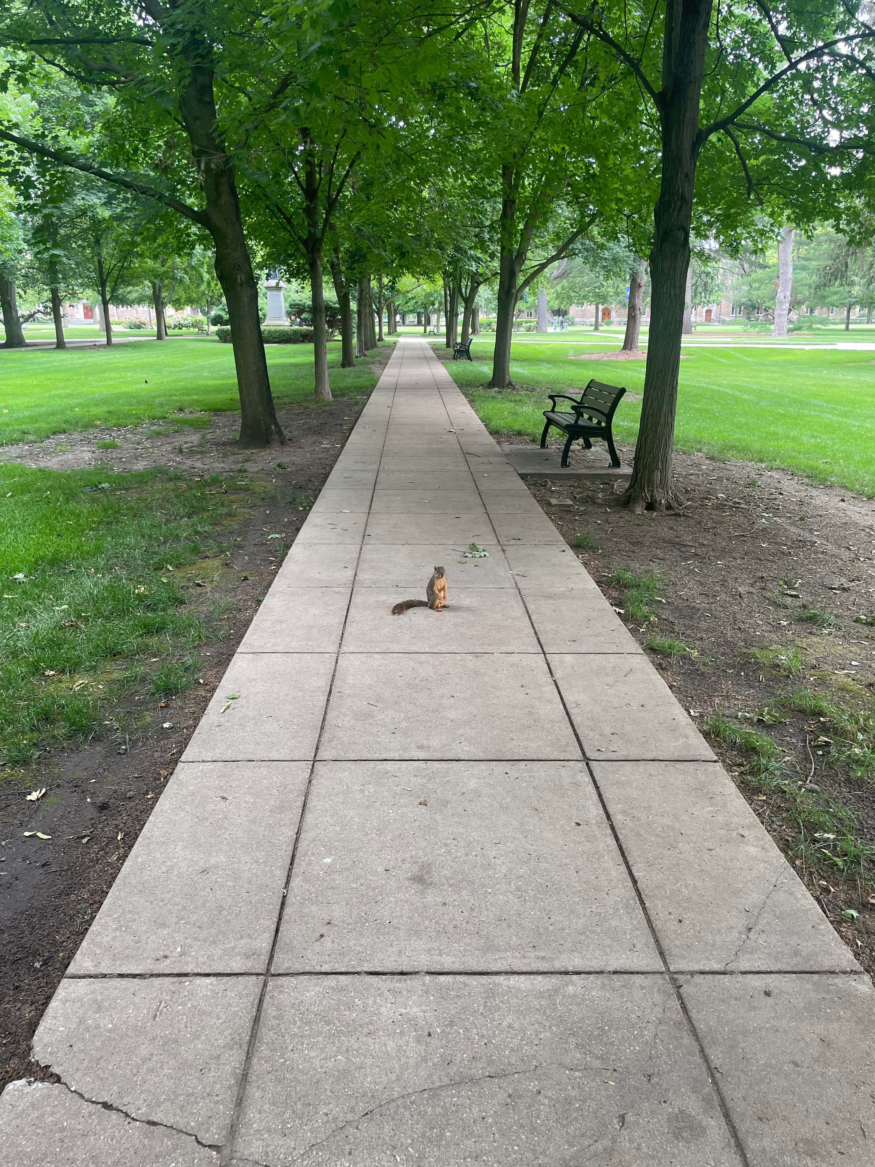 user avatar image for Marcus Smith