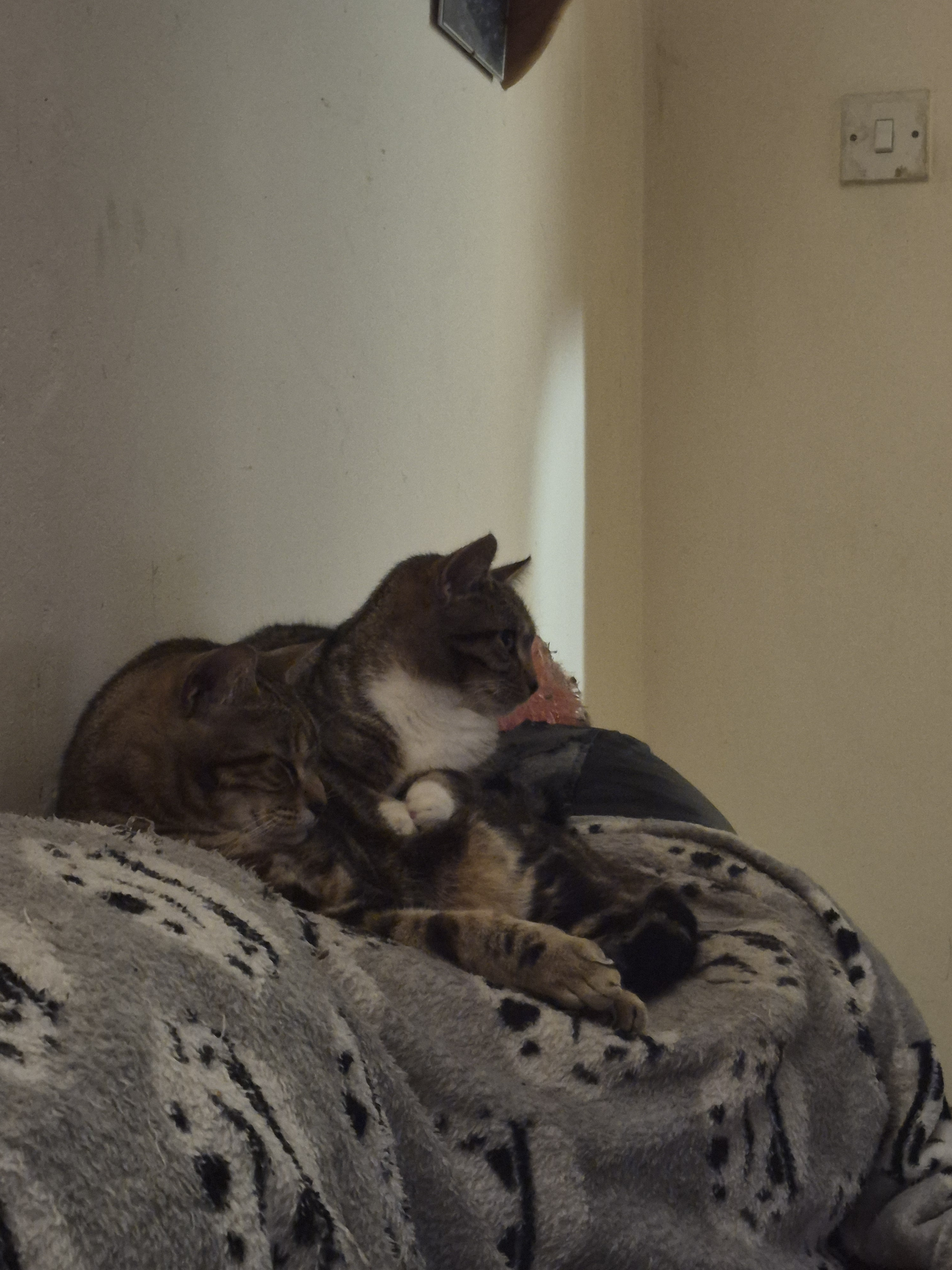 user avatar image for glyn owen copeland