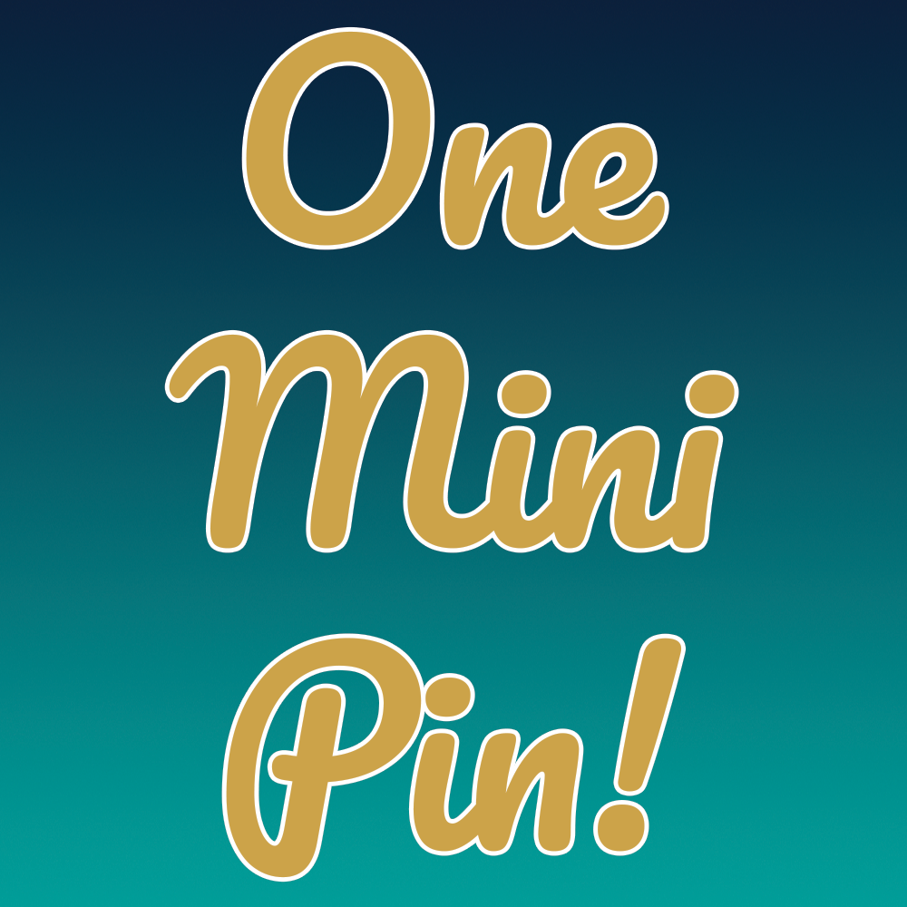 Mystery Mini Pin!