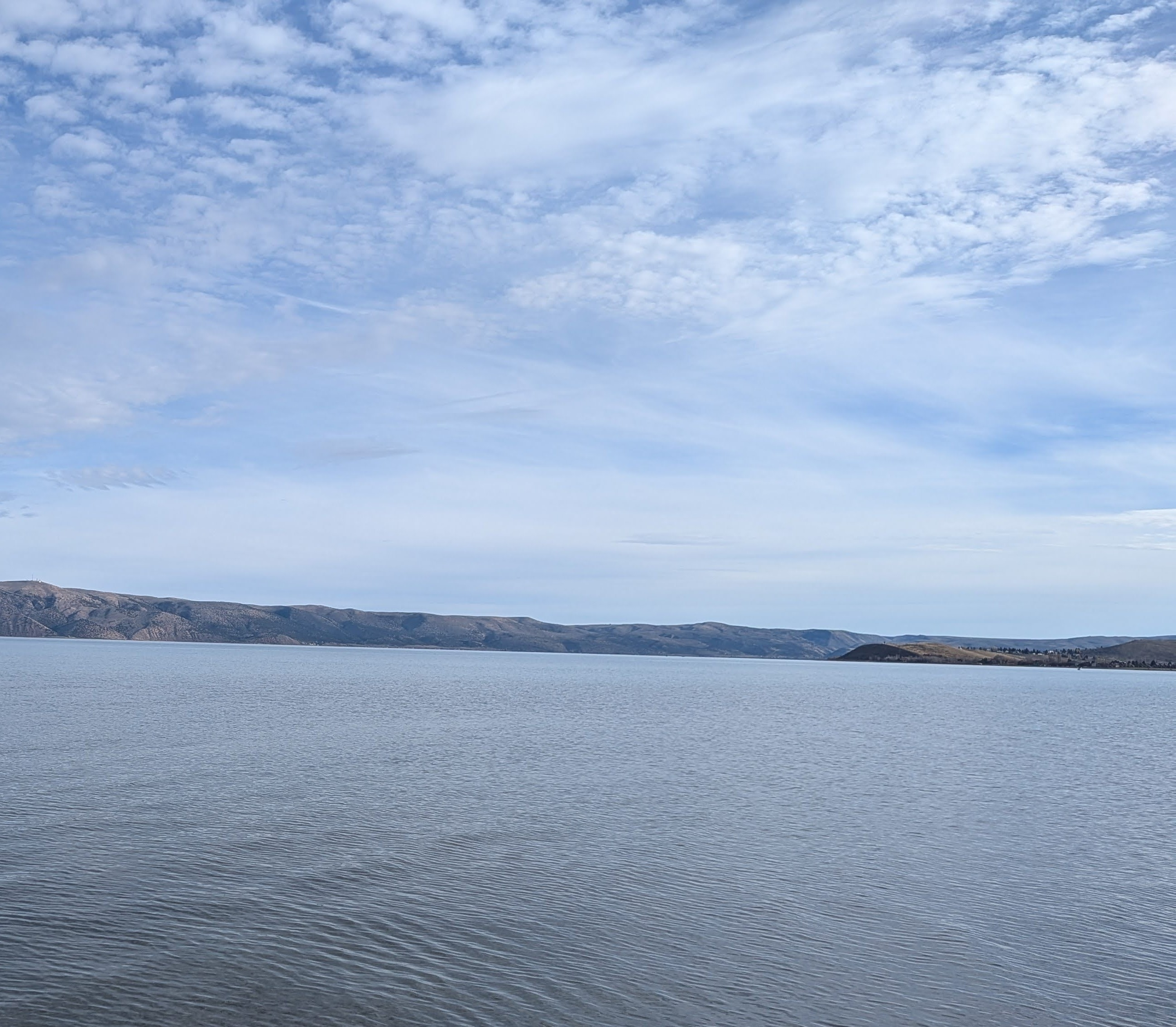 user avatar image for Bree