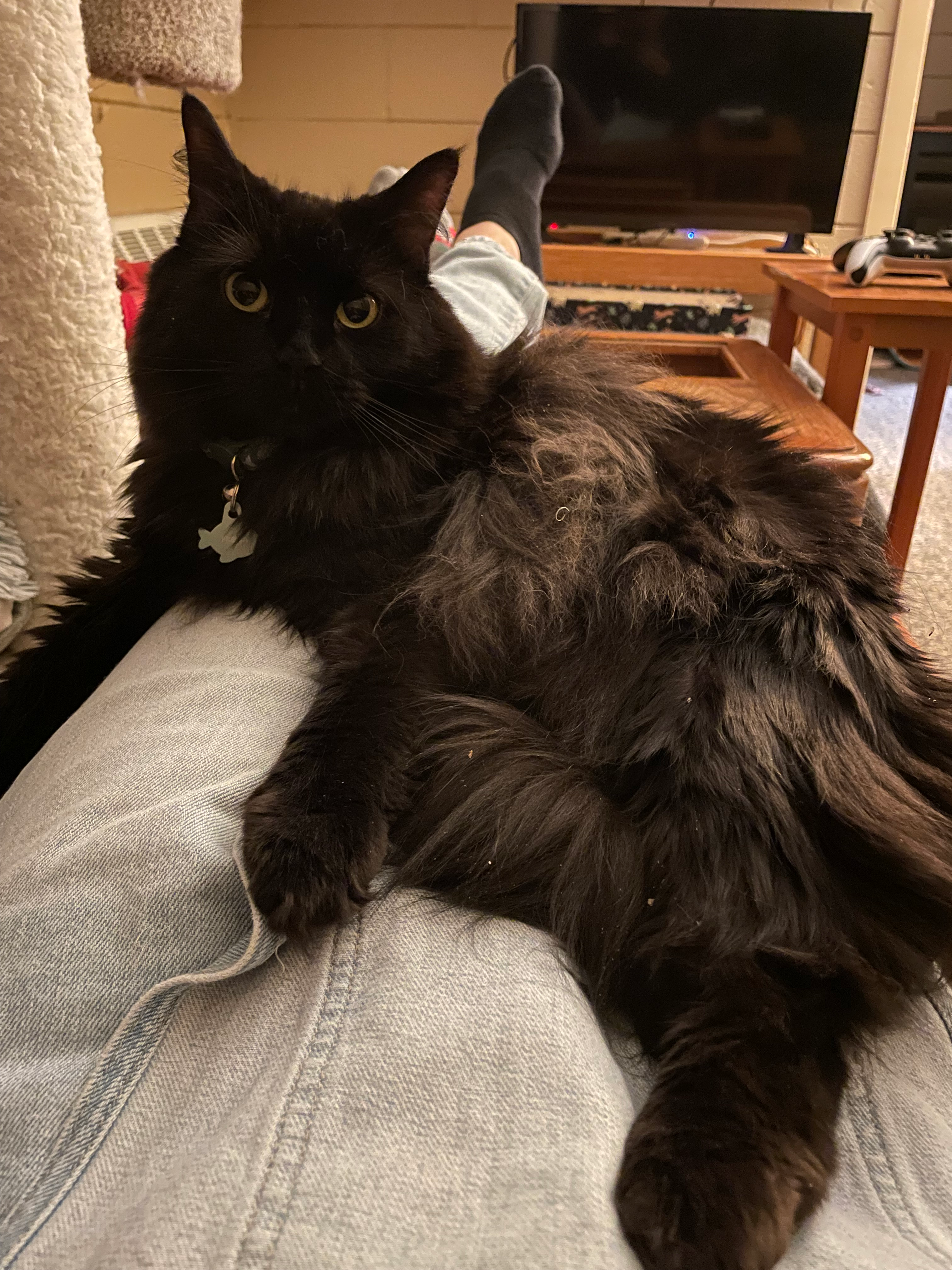 user avatar image for Troy