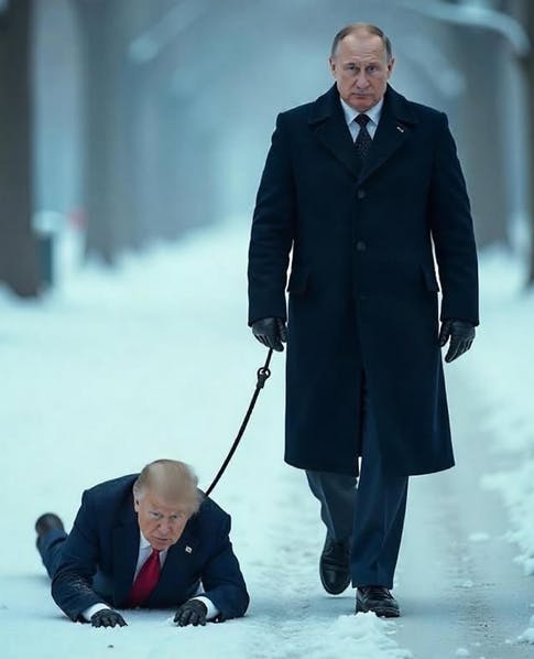 user avatar image for hatenchaos