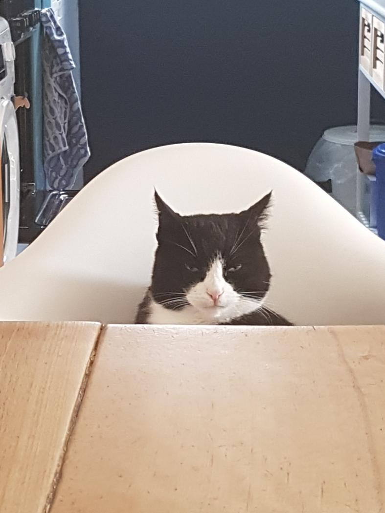 user avatar image for McTyke 