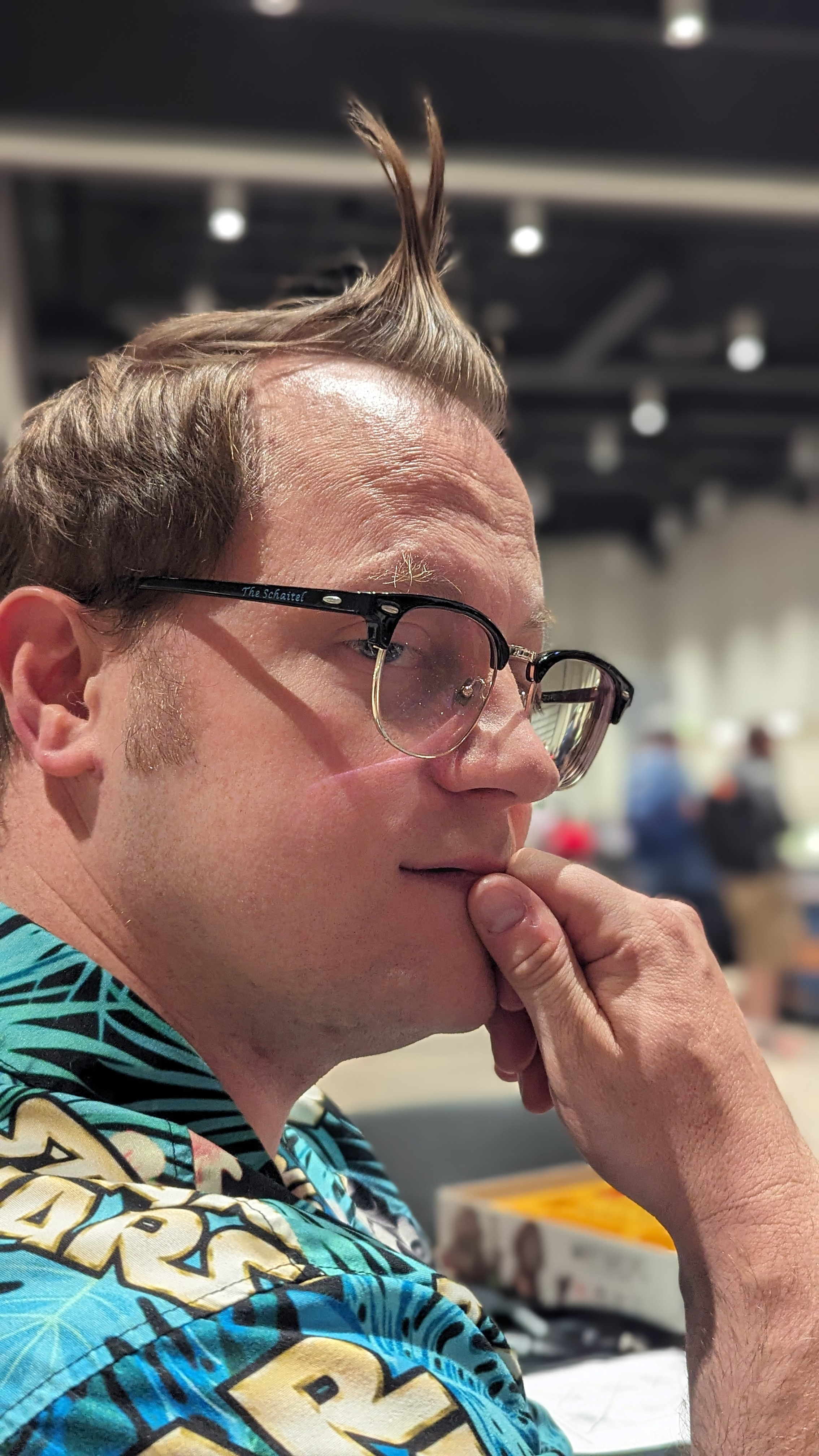 user avatar image for TheSchaitel