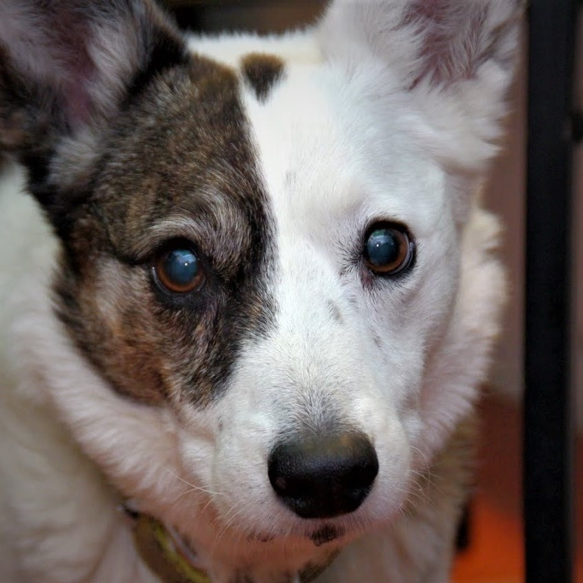 user avatar image for MrMinto