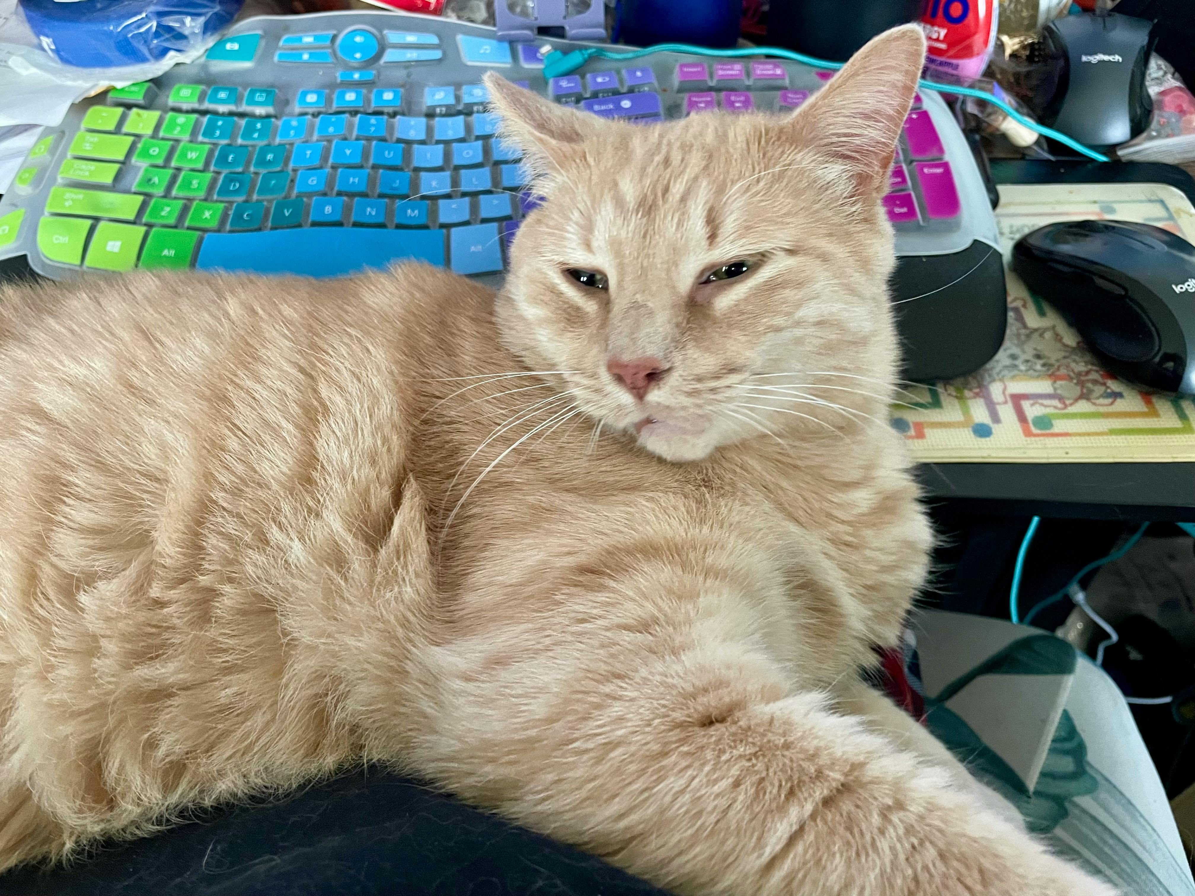 user avatar image for Karen Mann