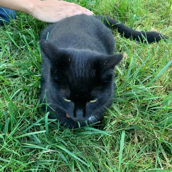 user avatar image for Matthew Rosen