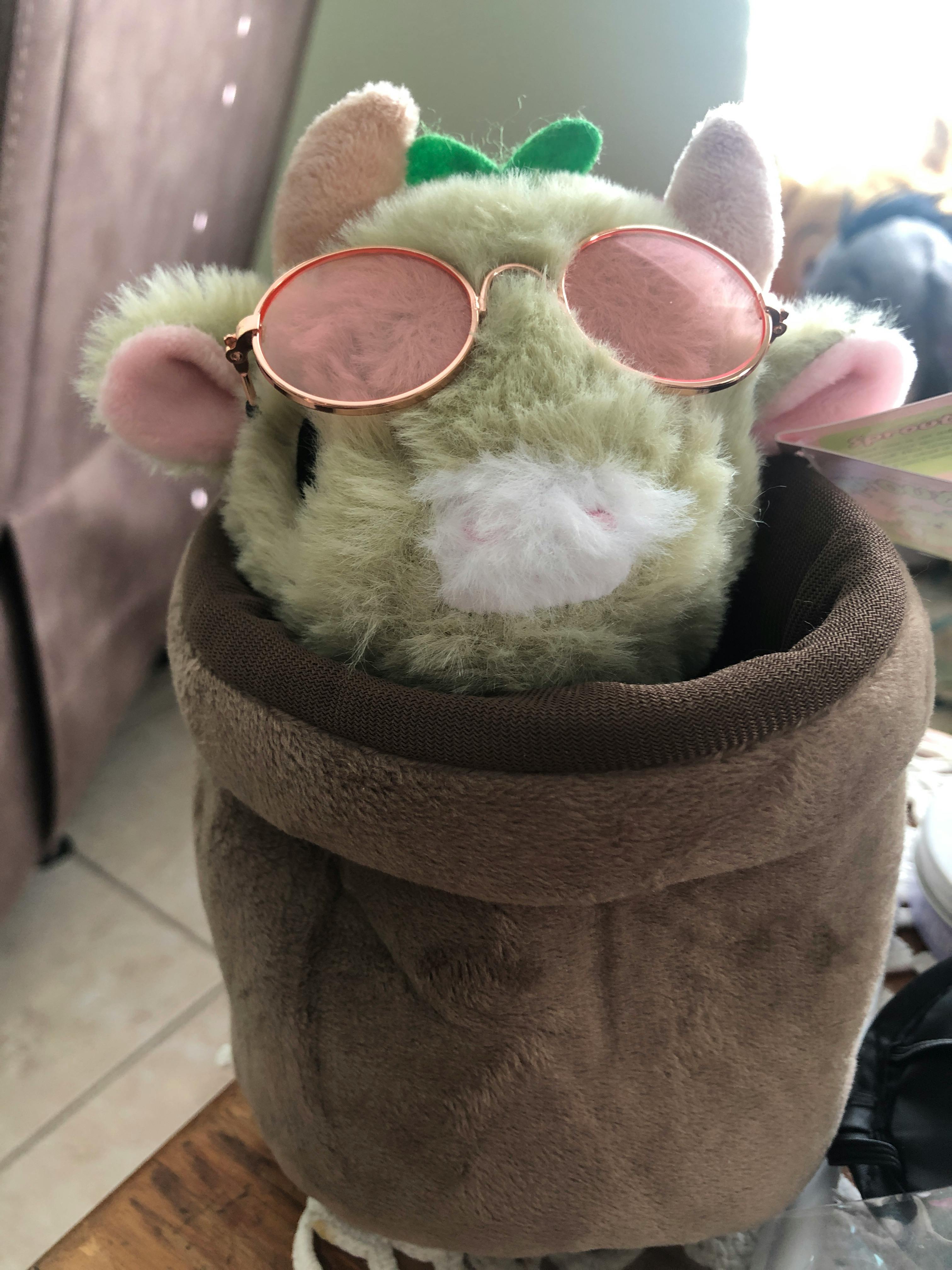 user avatar image for Susan