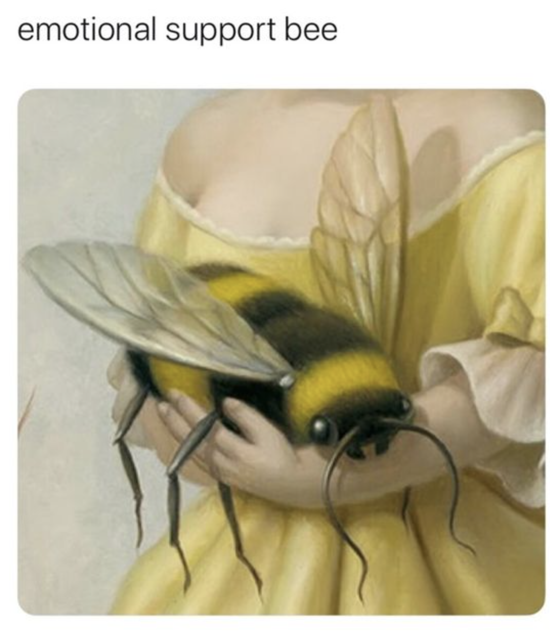 user avatar image for Orrey