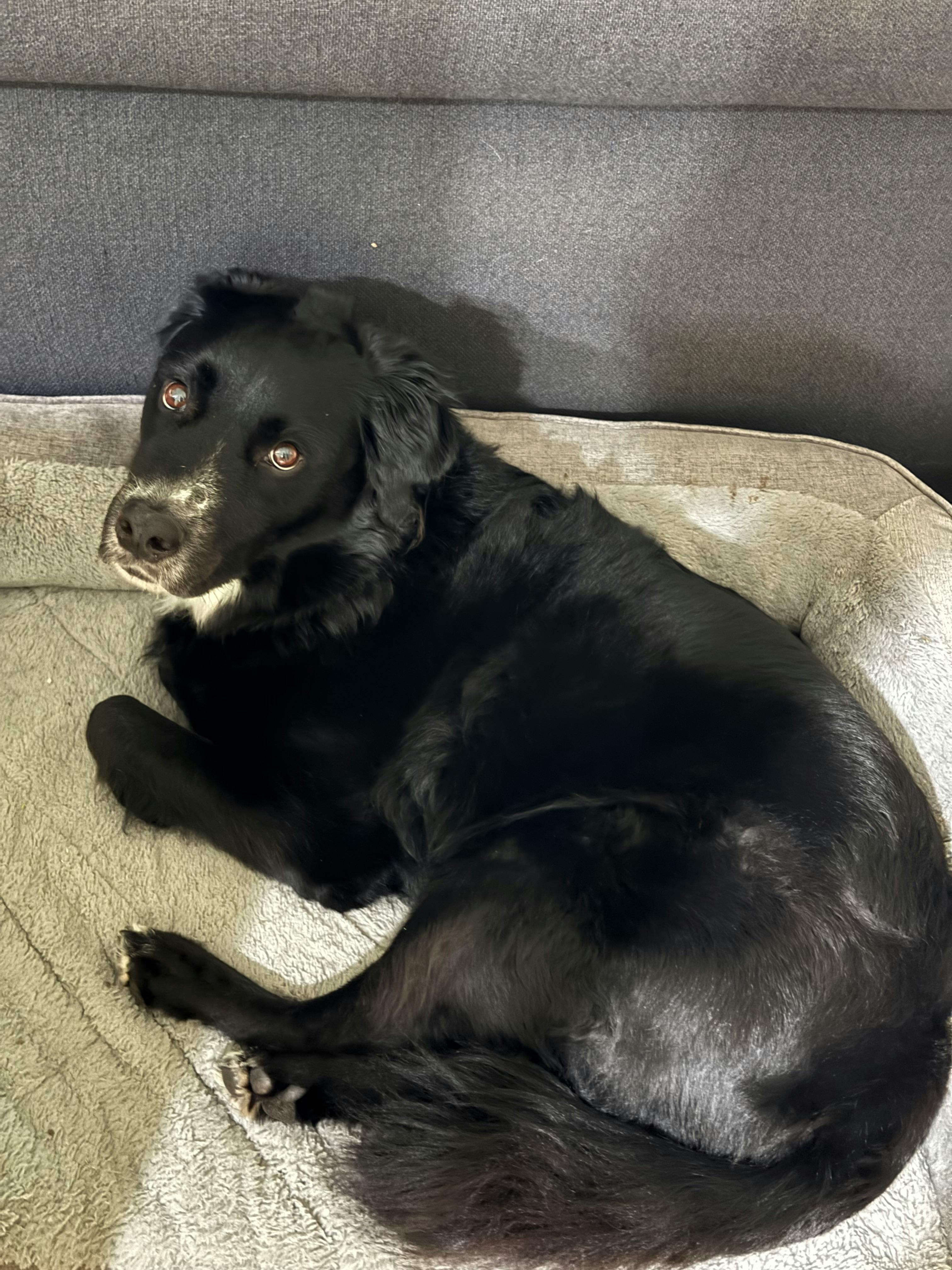 user avatar image for Adam B