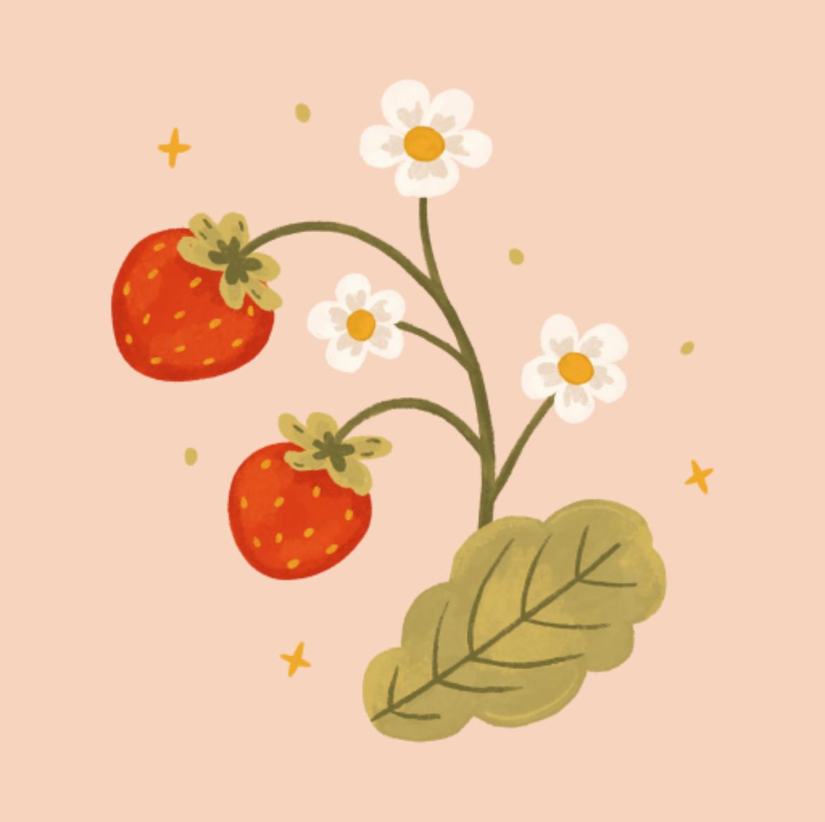 user avatar image for Jae