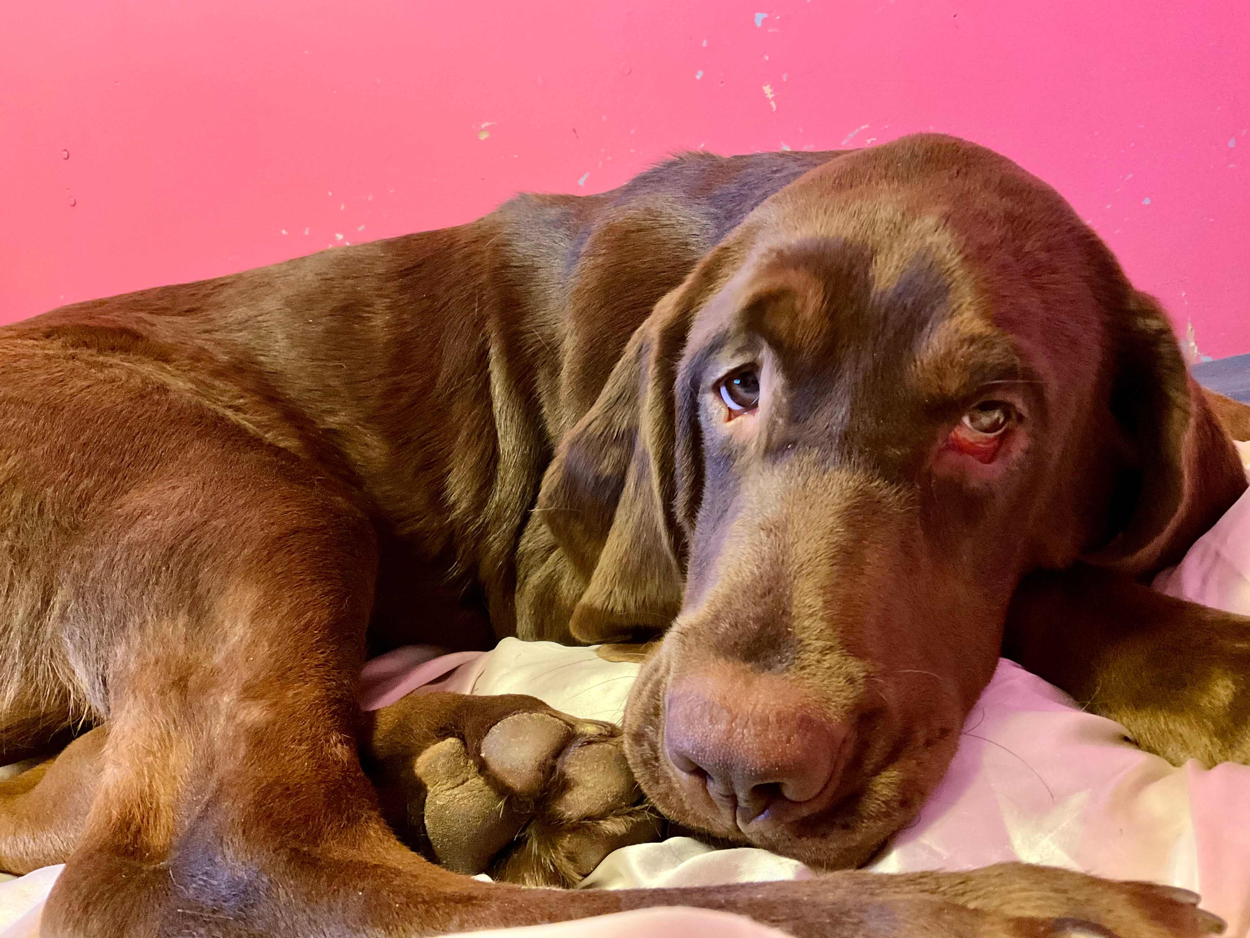 user avatar image for Katelyn