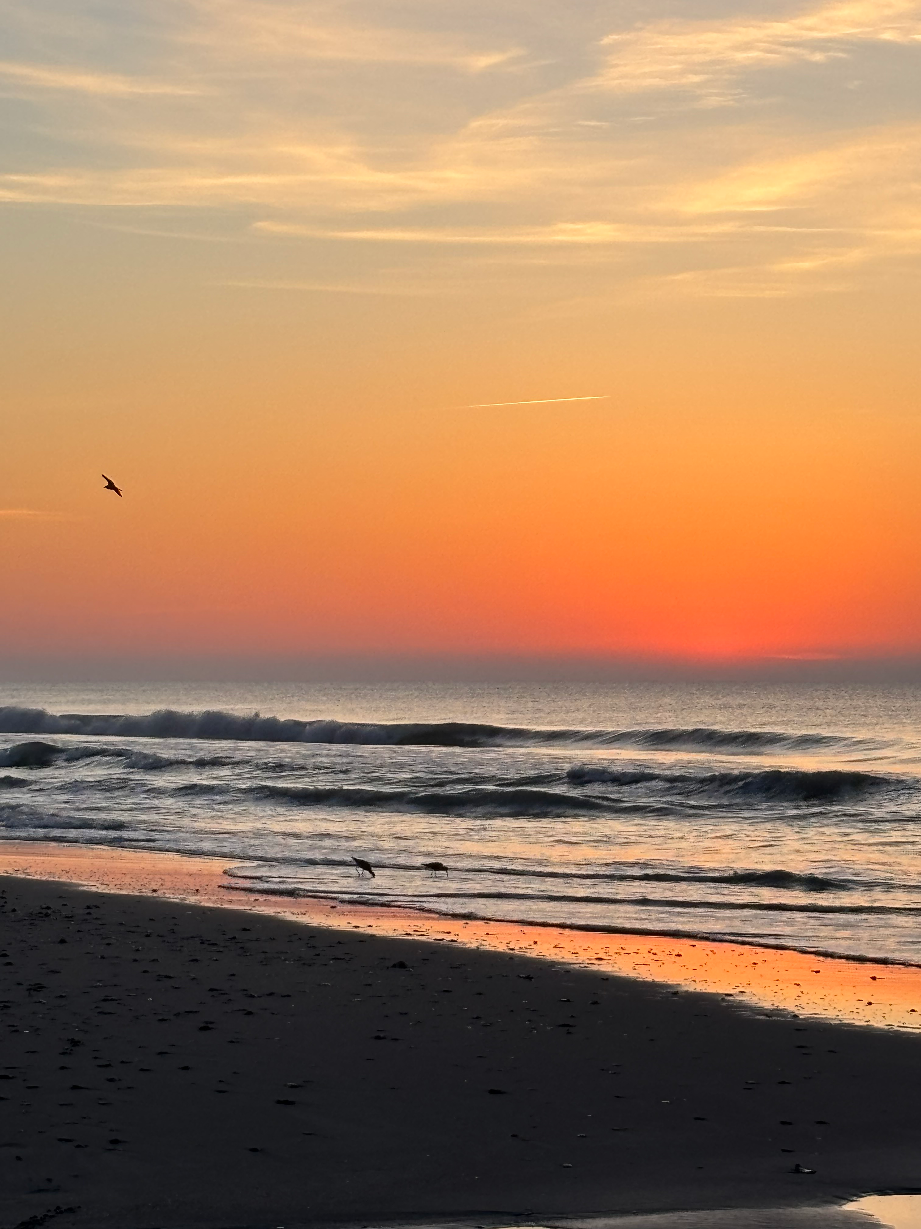 user avatar image for Dawn