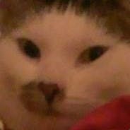 user avatar image for Rachel H