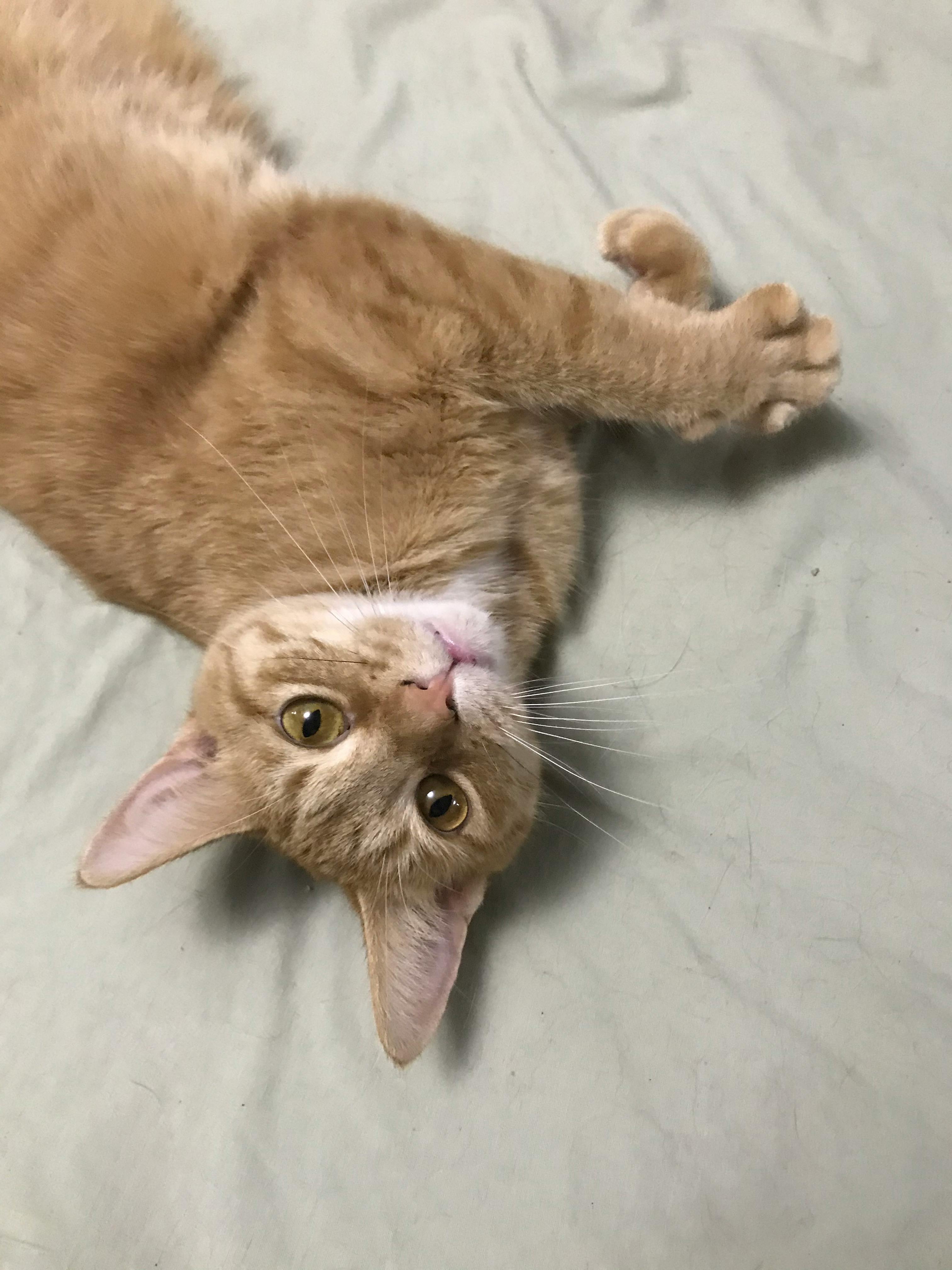 user avatar image for Whitney M