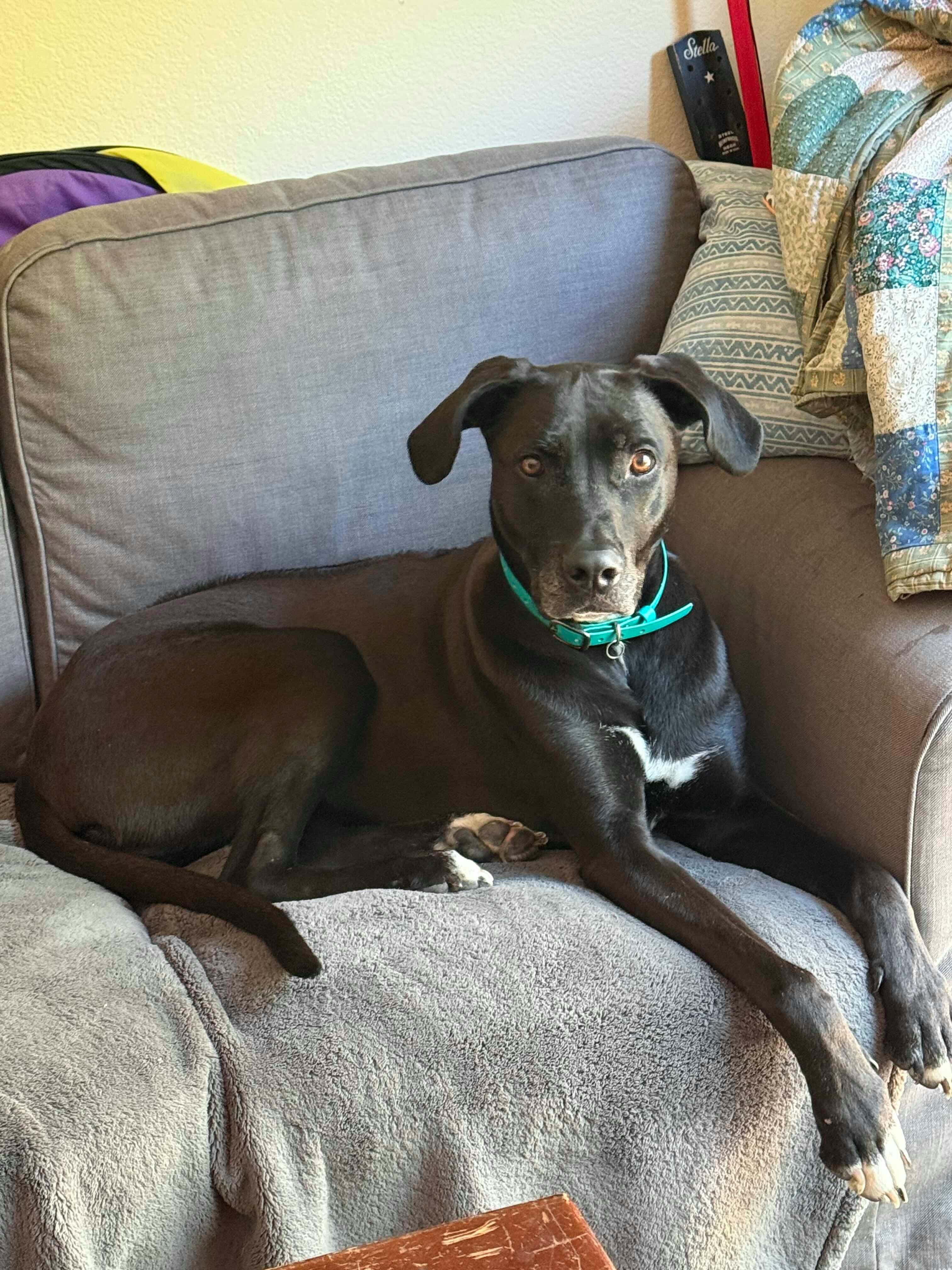 user avatar image for David P