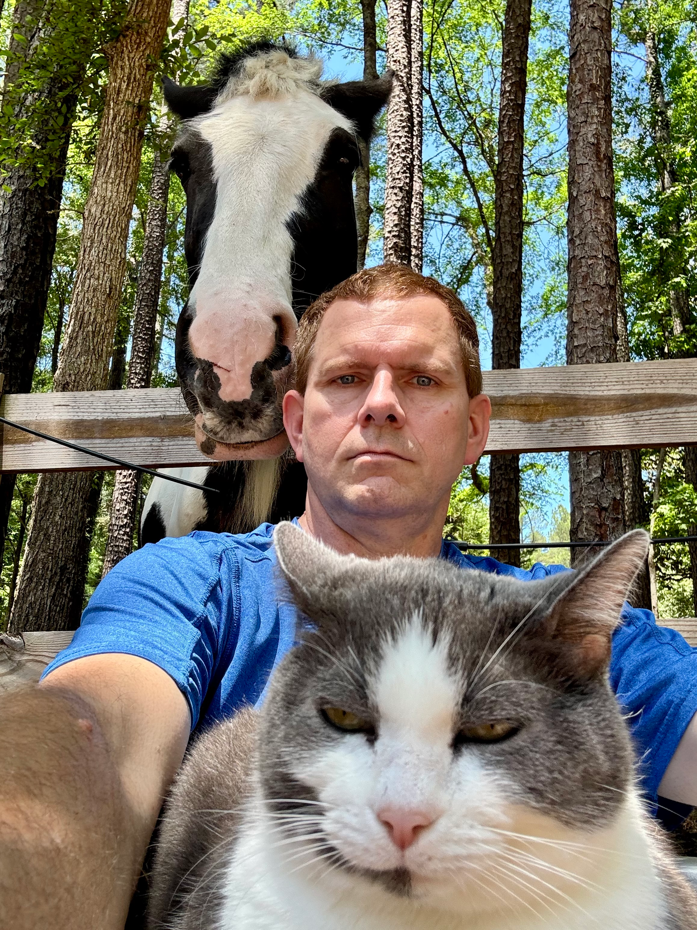 user avatar image for Marc B