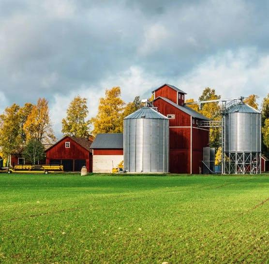 Safety, Standards, and longevity: The Value of Professional