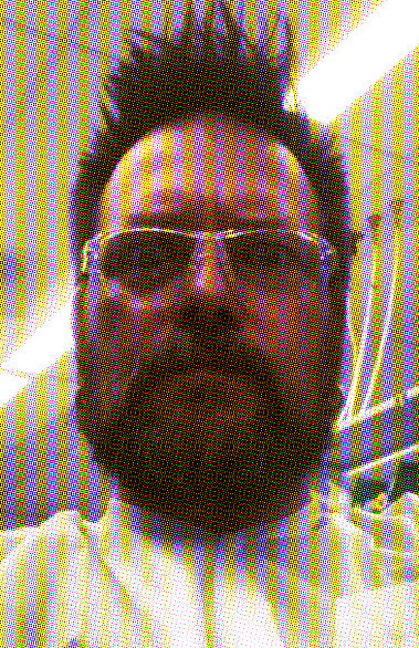 user avatar image for Donn Stroud