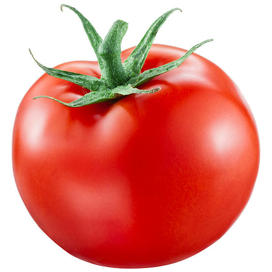 user avatar image for TectalTomato