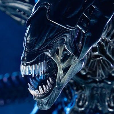 user avatar image for Catie L