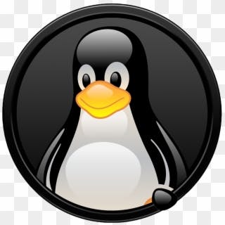 user avatar image for Andrew Gibbons