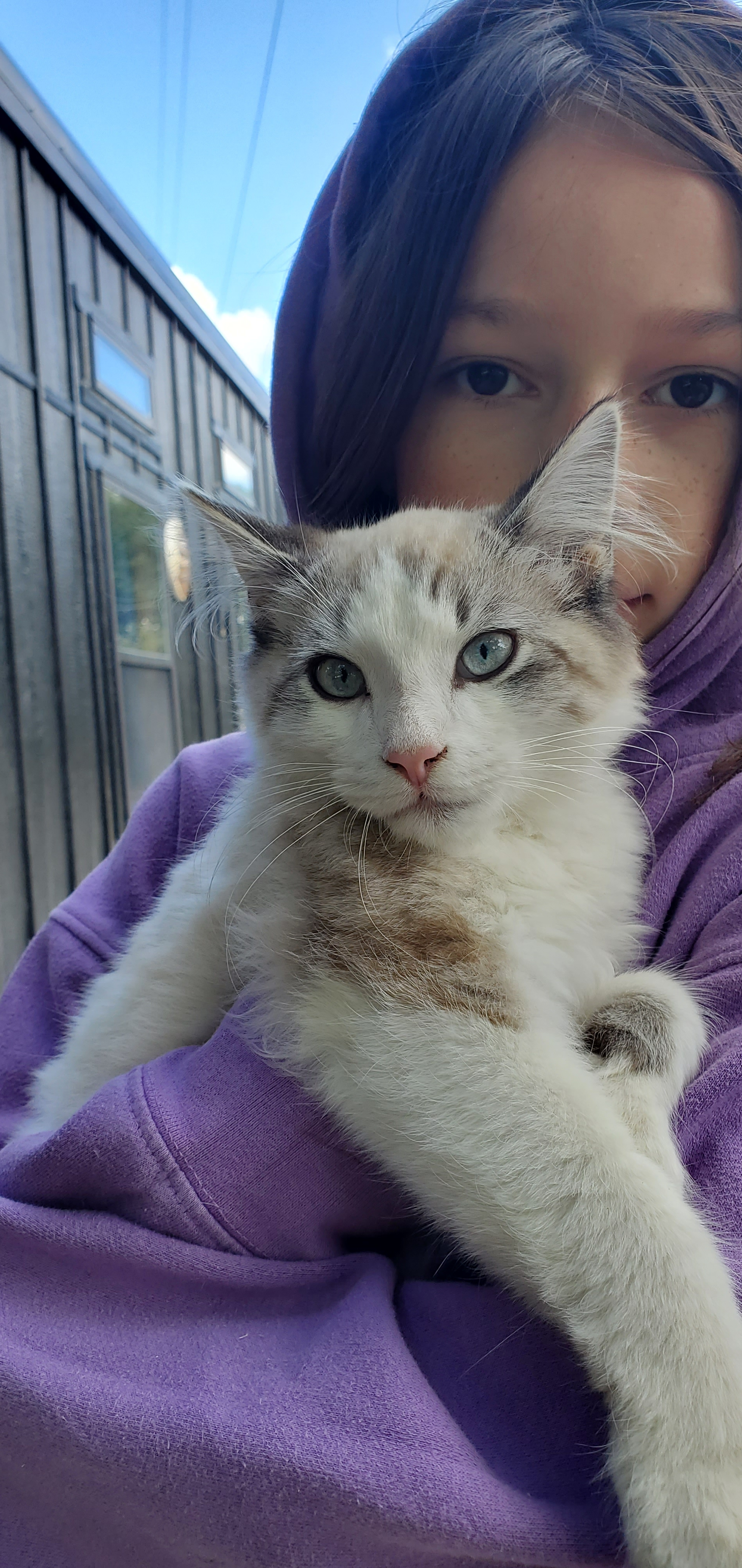 user avatar image for Ubercomp