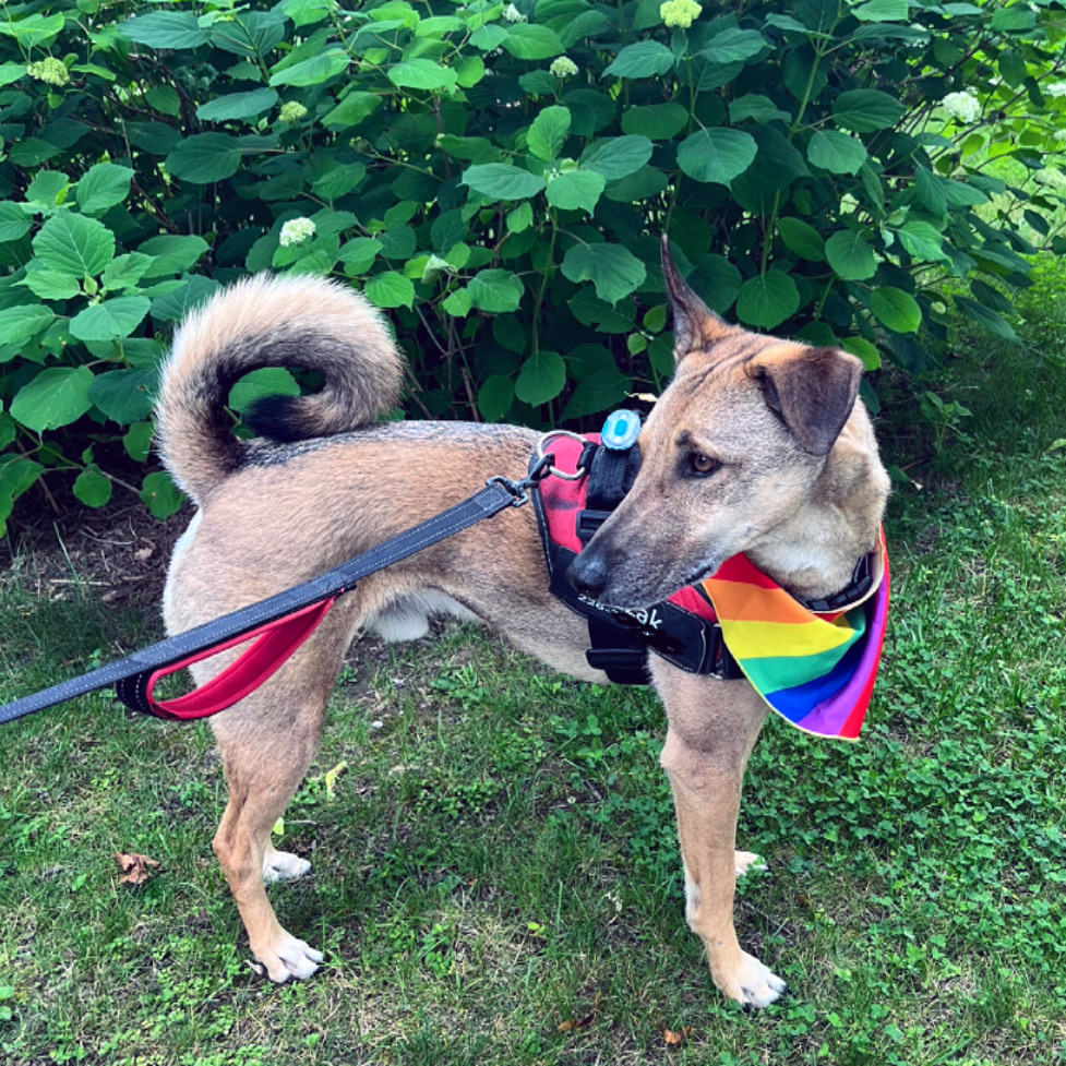 user avatar image for Beck