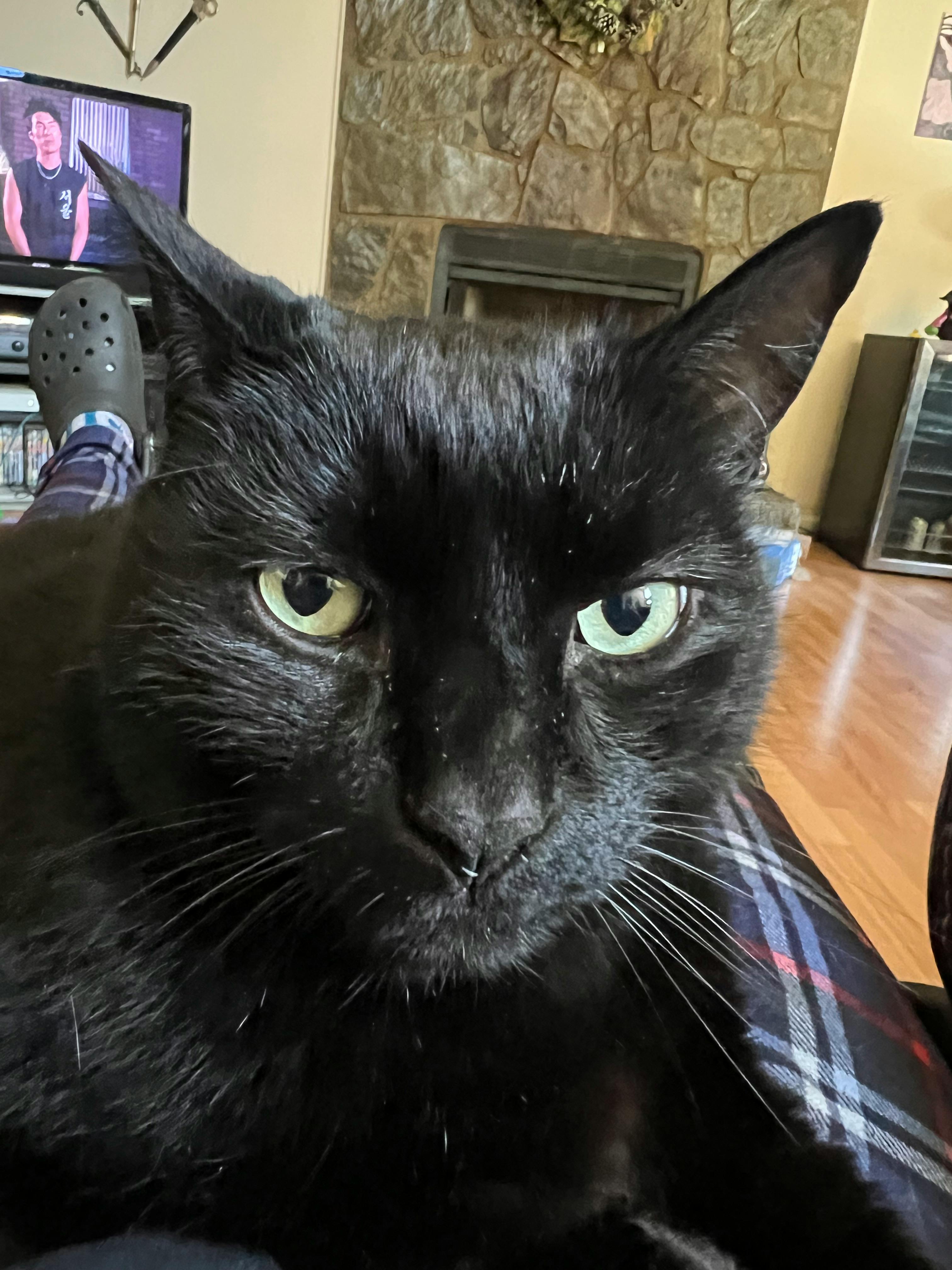 user avatar image for Tenryu Utashima