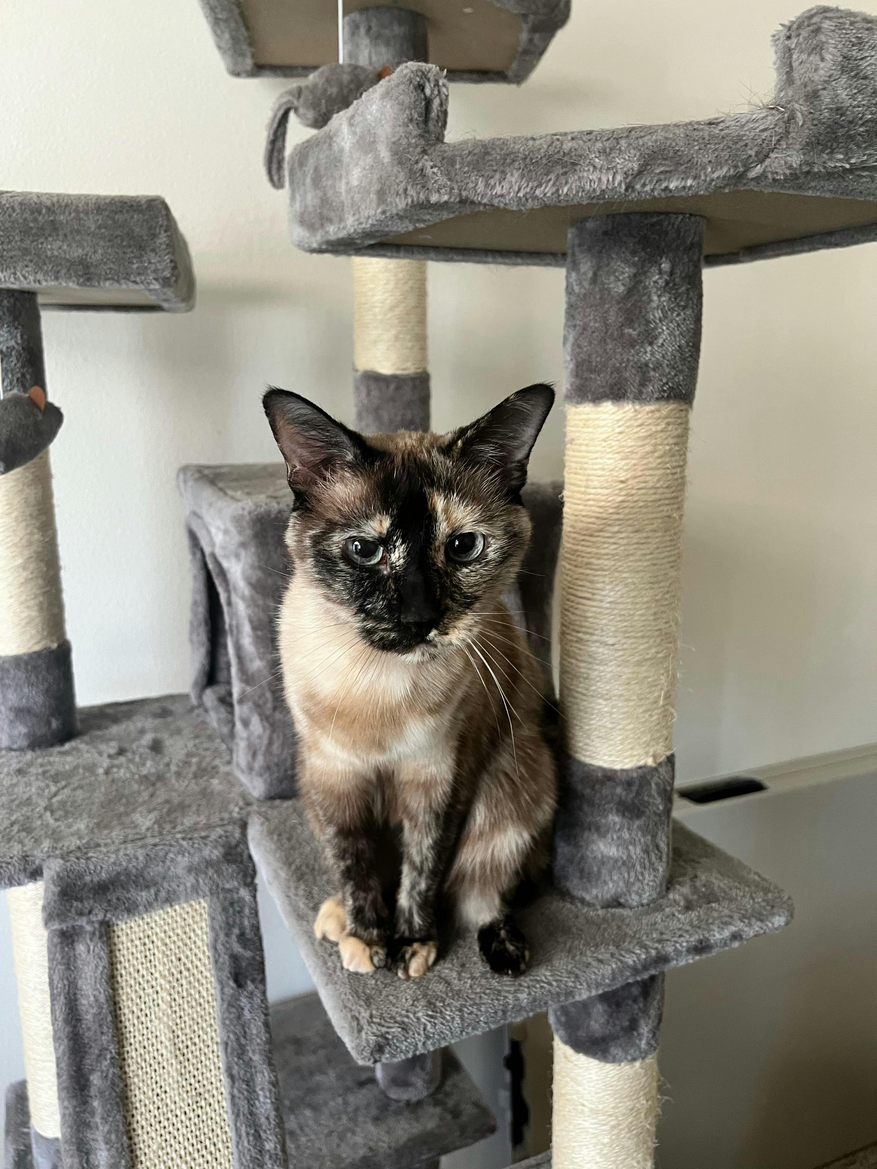 user avatar image for EquesIncognito25