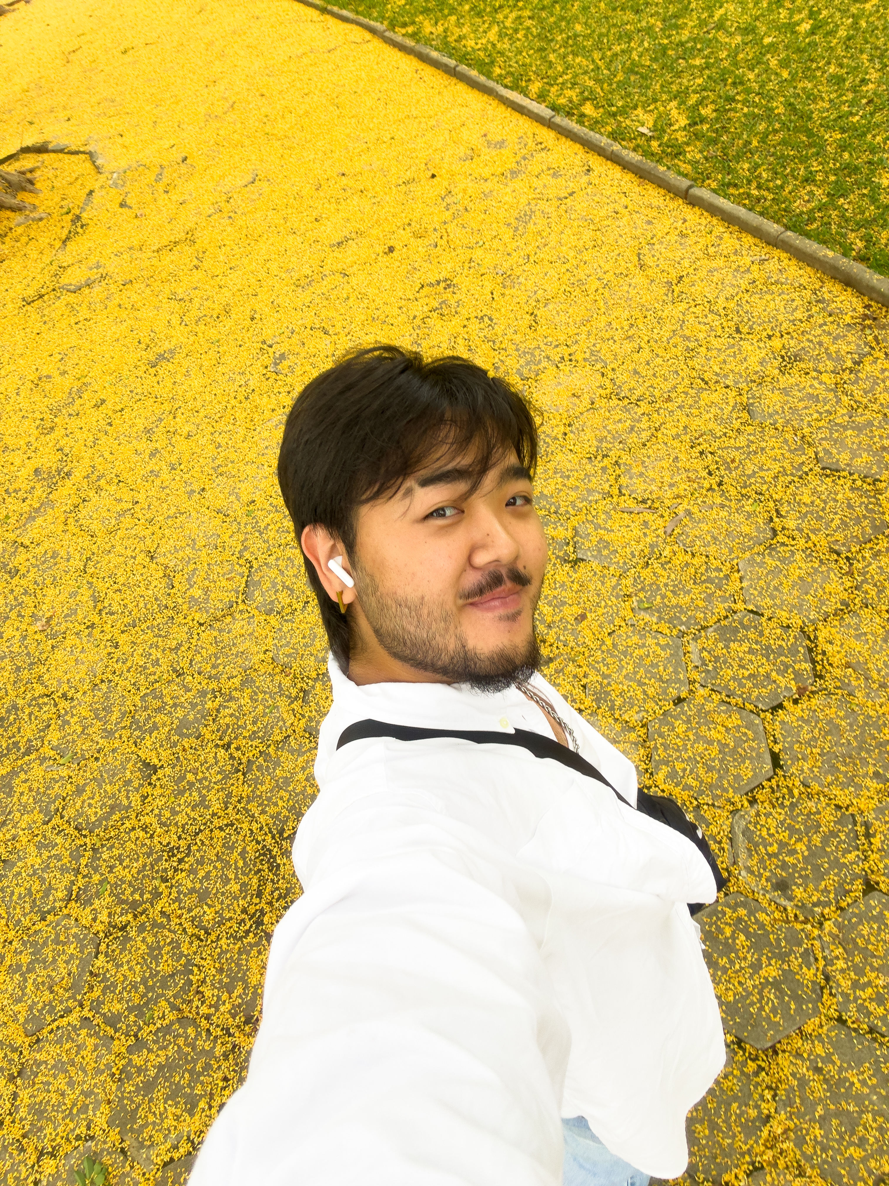 user avatar image for Bruno Ihara