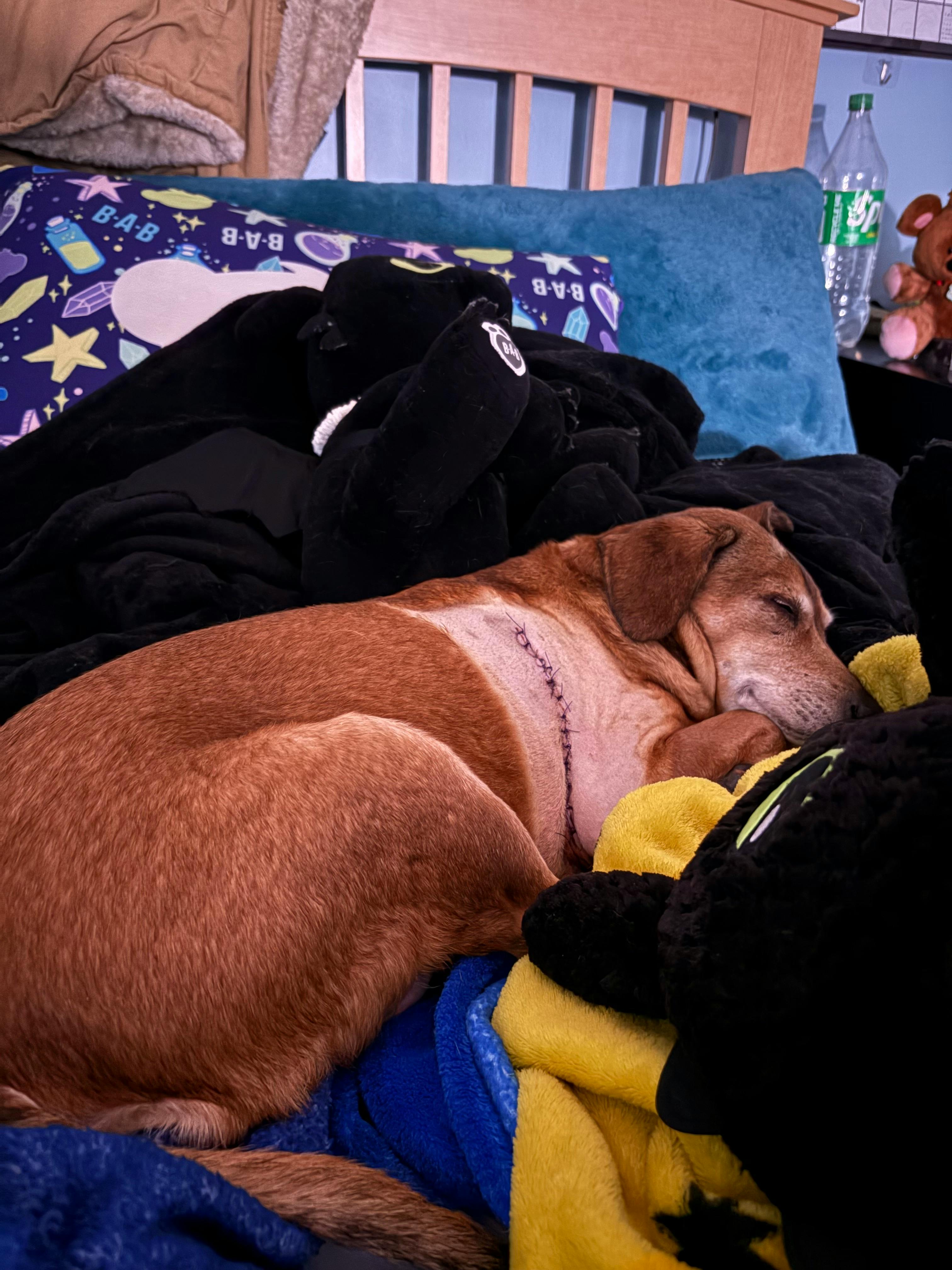 user avatar image for Bug Rowehl