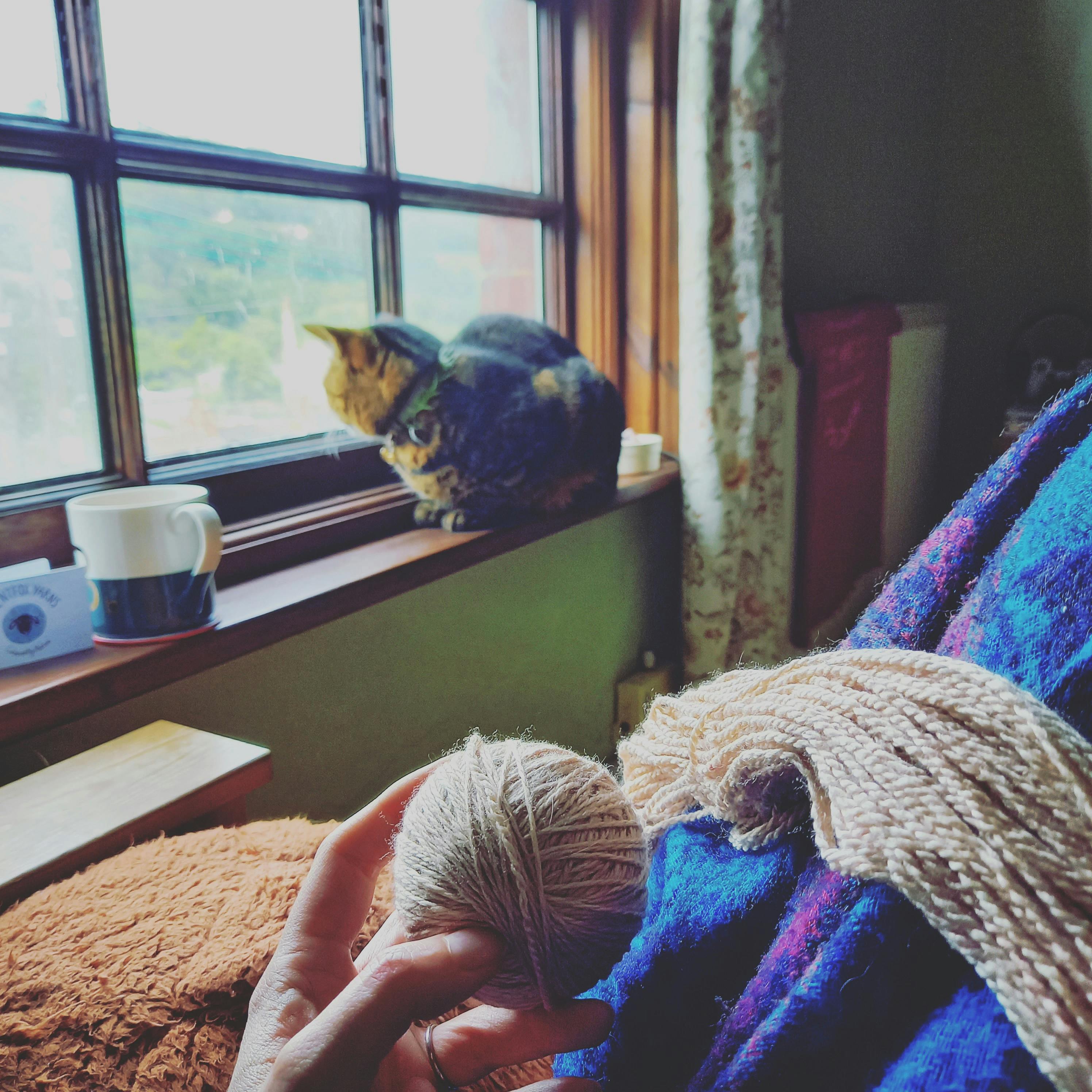 user avatar image for Little Librarian