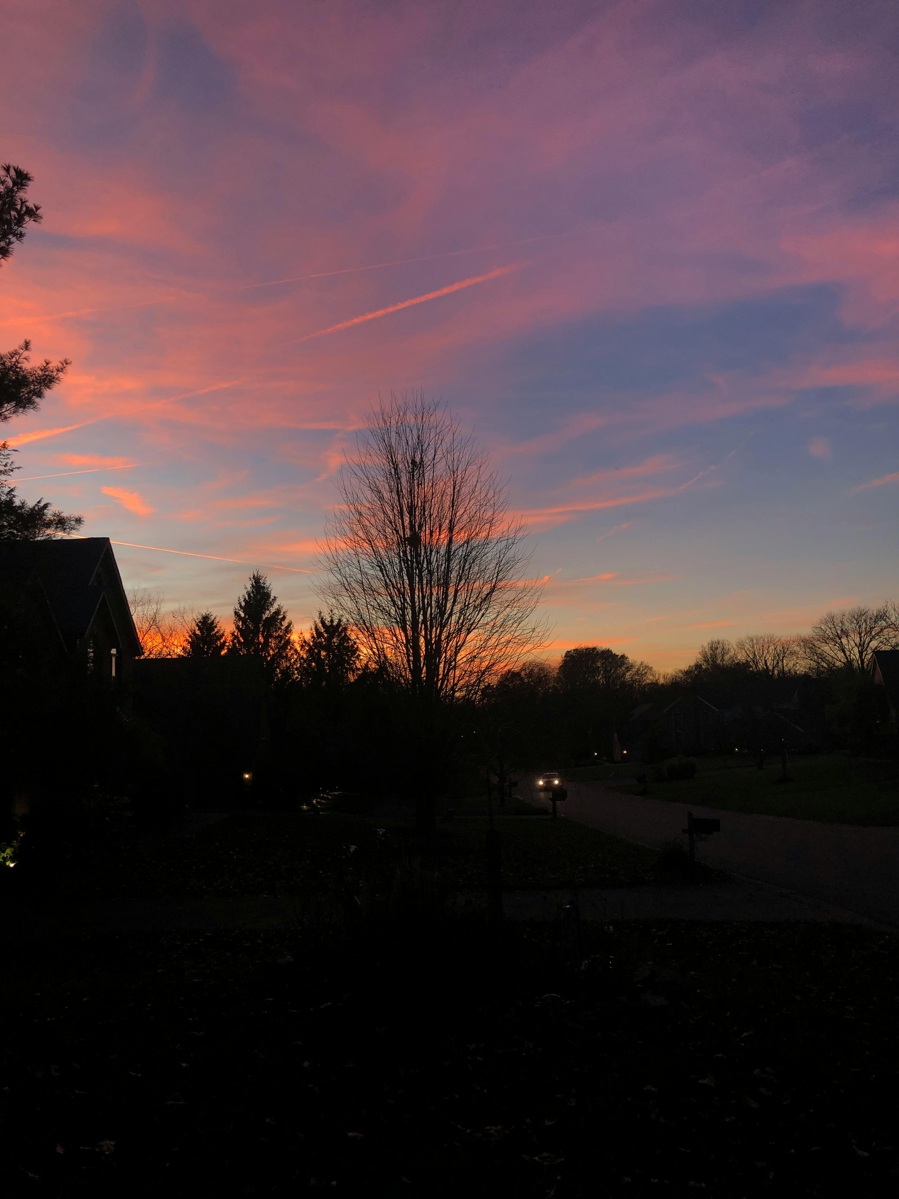 user avatar image for Toaster