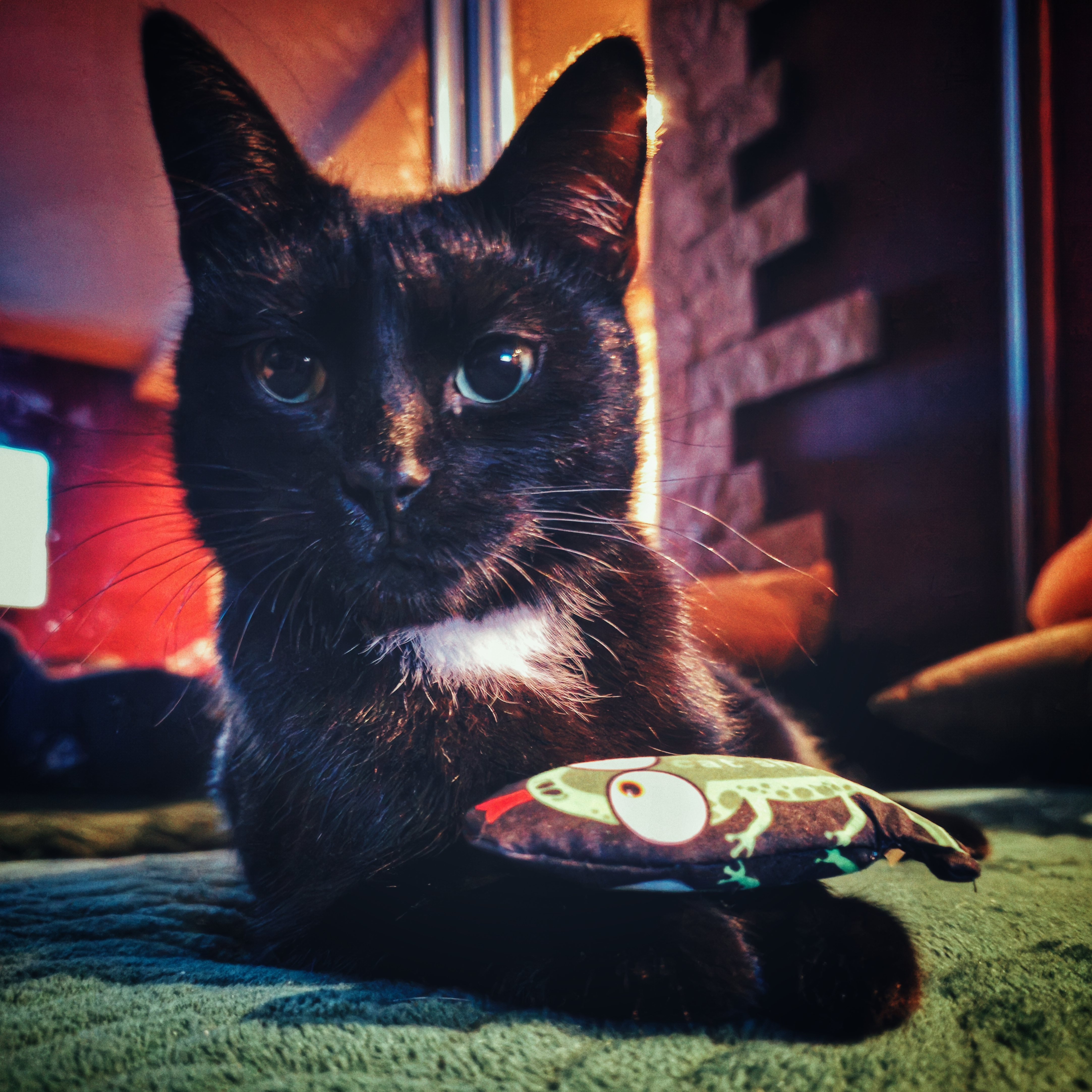 user avatar image for gr4fzero