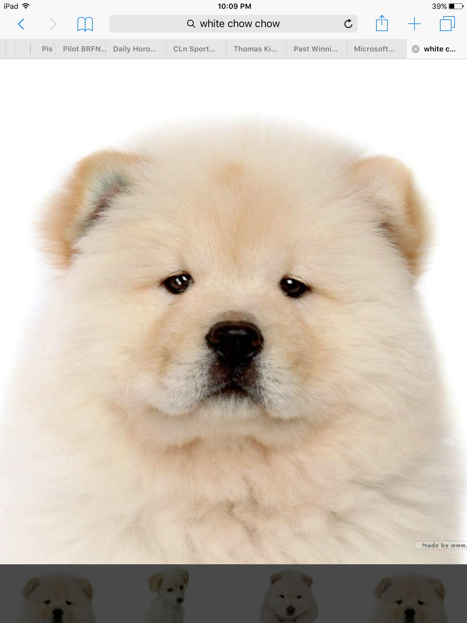 user avatar image for PBear