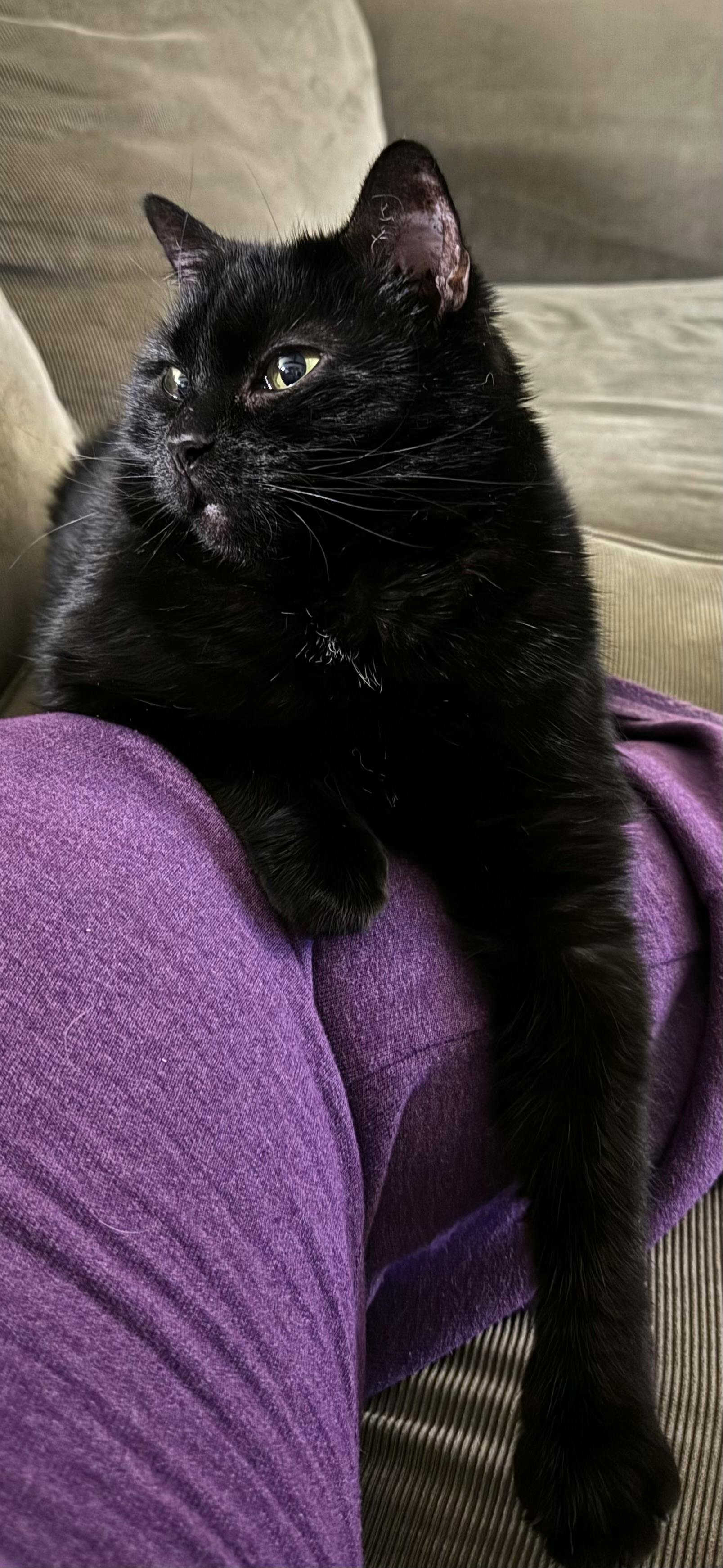 user avatar image for Candida Norwood