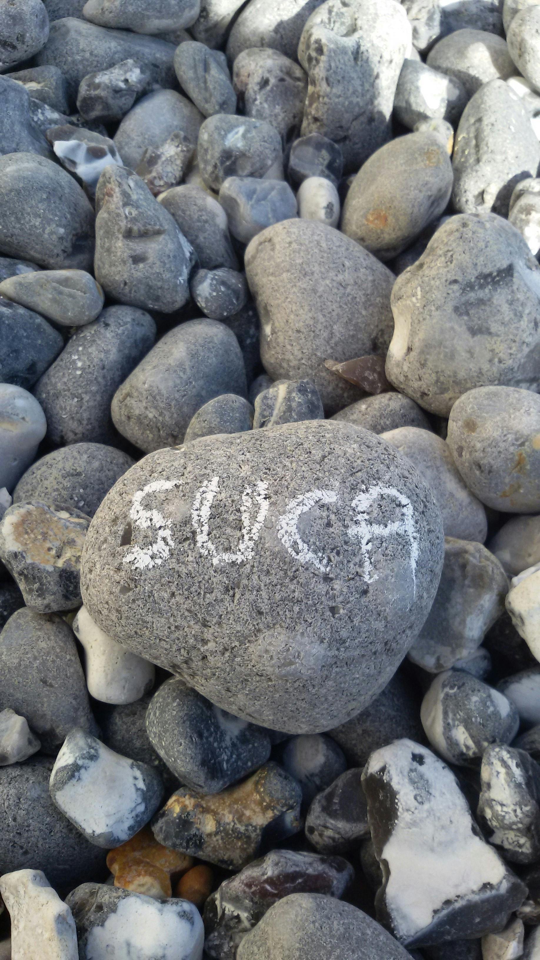 user avatar image for Pingue Gnomo