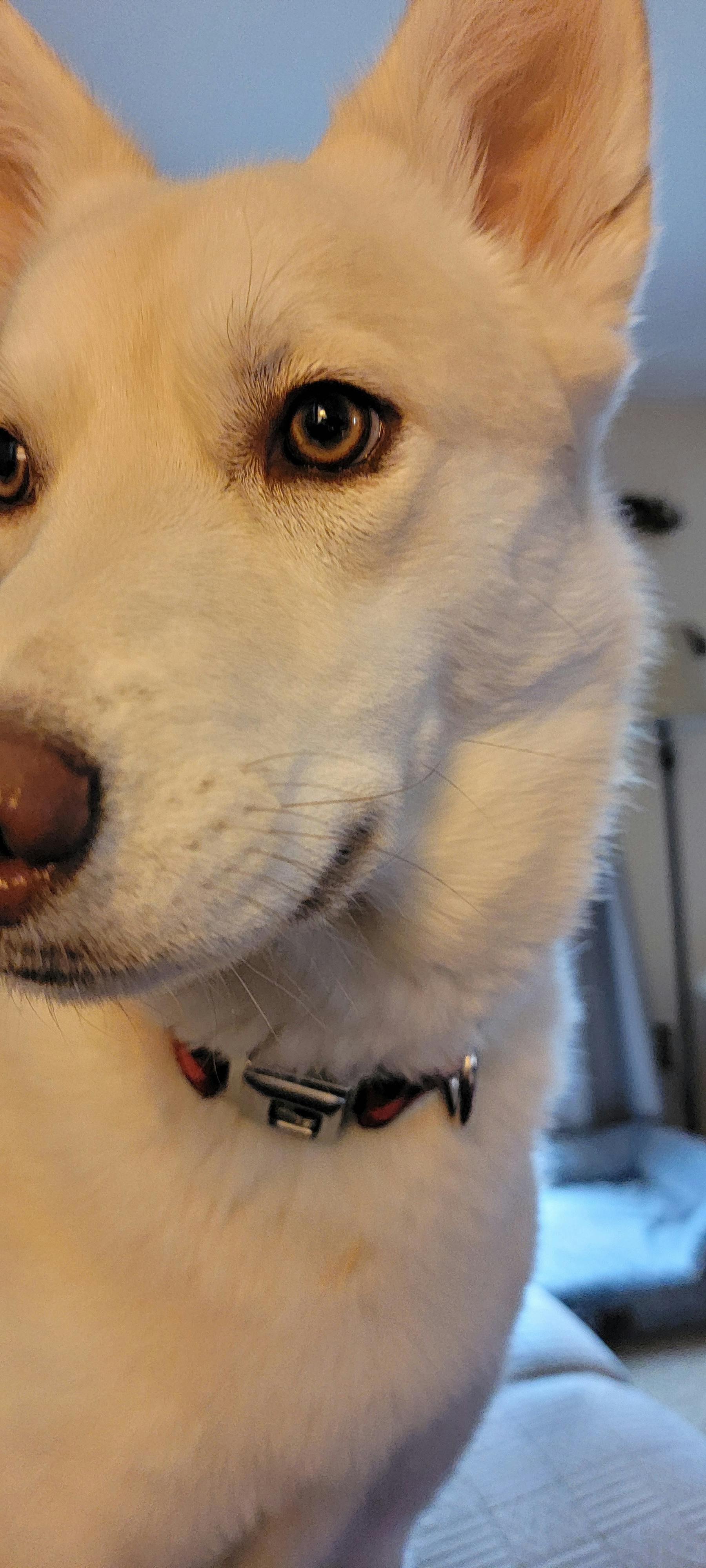 user avatar image for Jeanne Collier