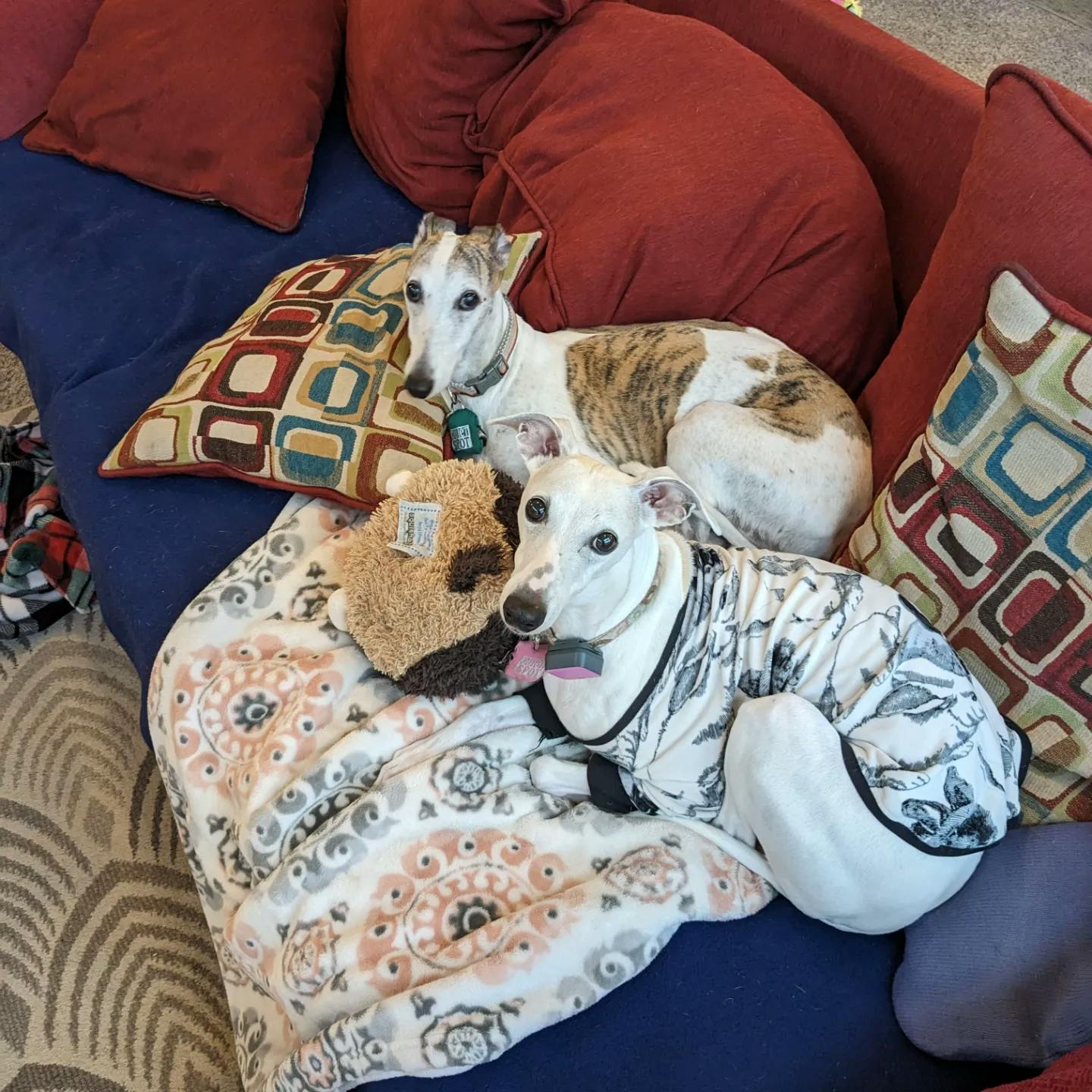 user avatar image for Gemma